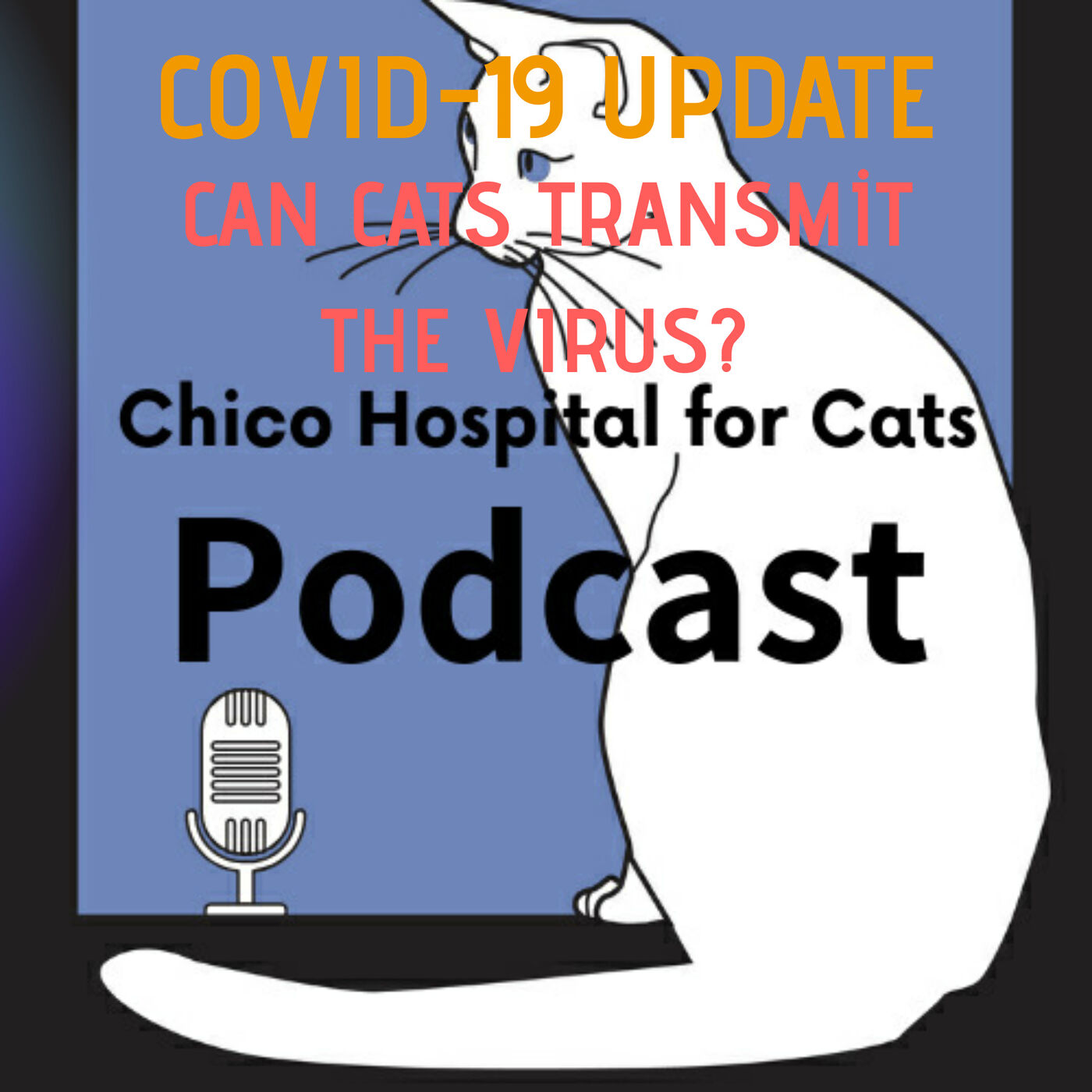 #33 Can Cats Transmit Coronavirus? COVID19 Update