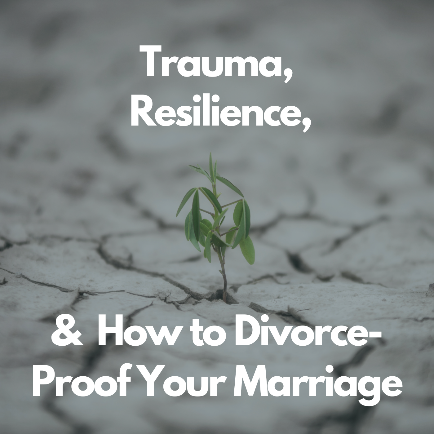 Trauma, Resilience, and How to Divorce-Proof Your Marriage| With Tara Alan | Episode 30 Image