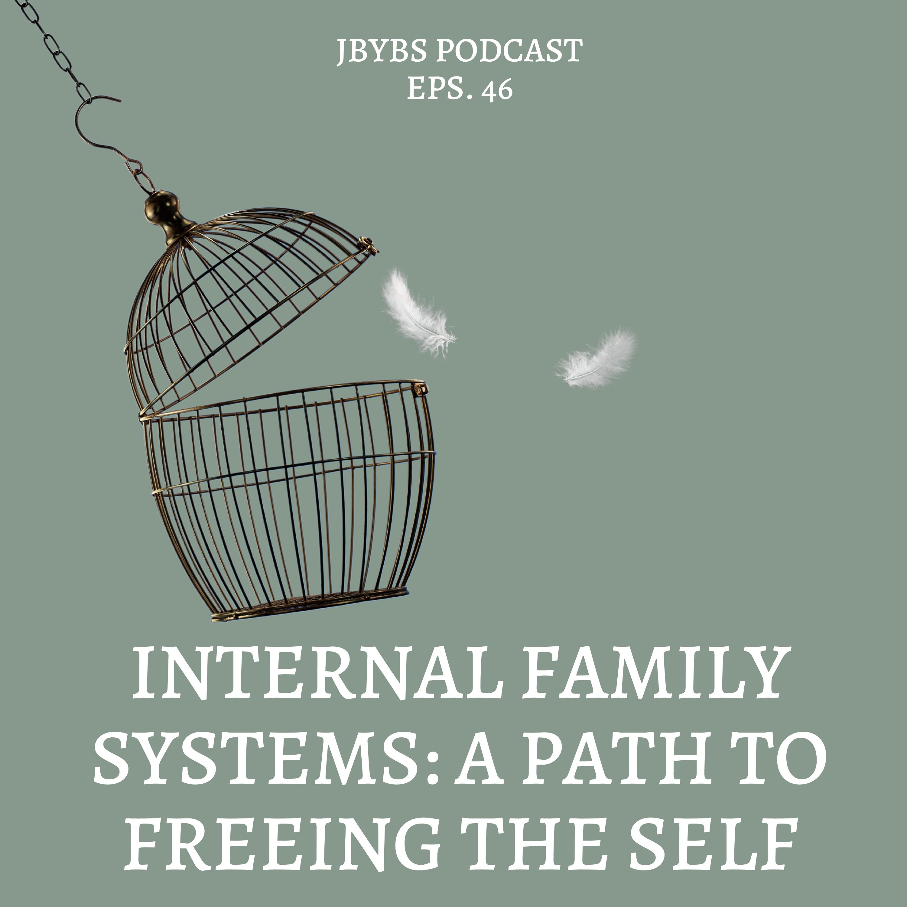 Internal Family Systems: A Path to Freeing the Self