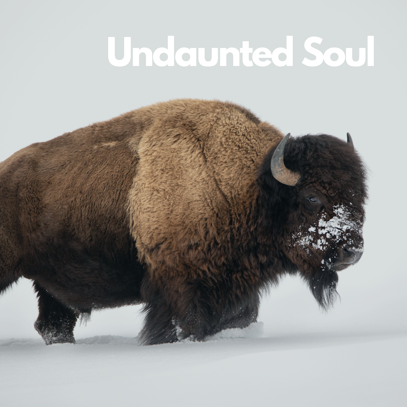 Undaunted Soul | Chelsea Olson | Episode 31 Image