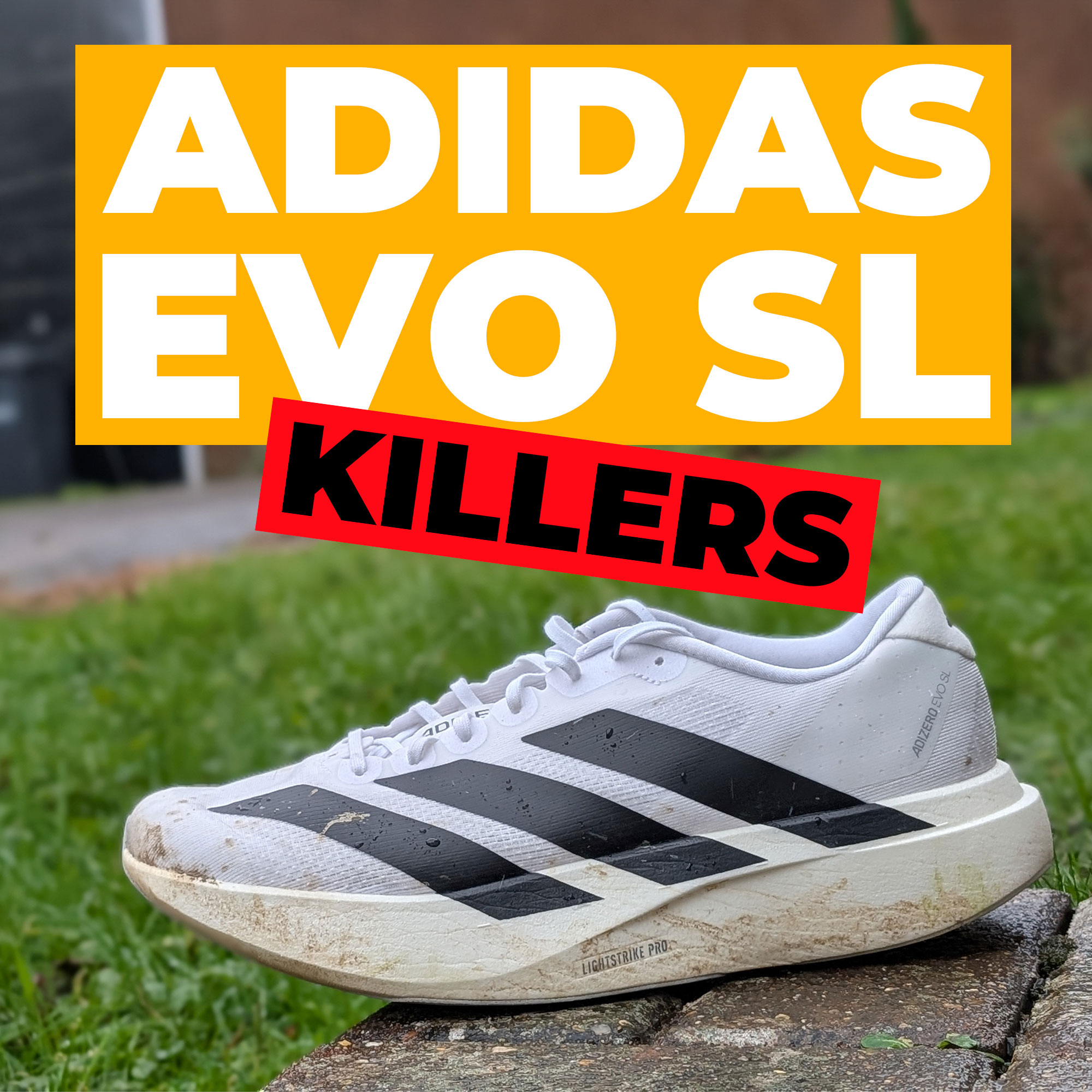 Adidas Adizero EVO SL Killers | Which versatile daily trainers can beat it?