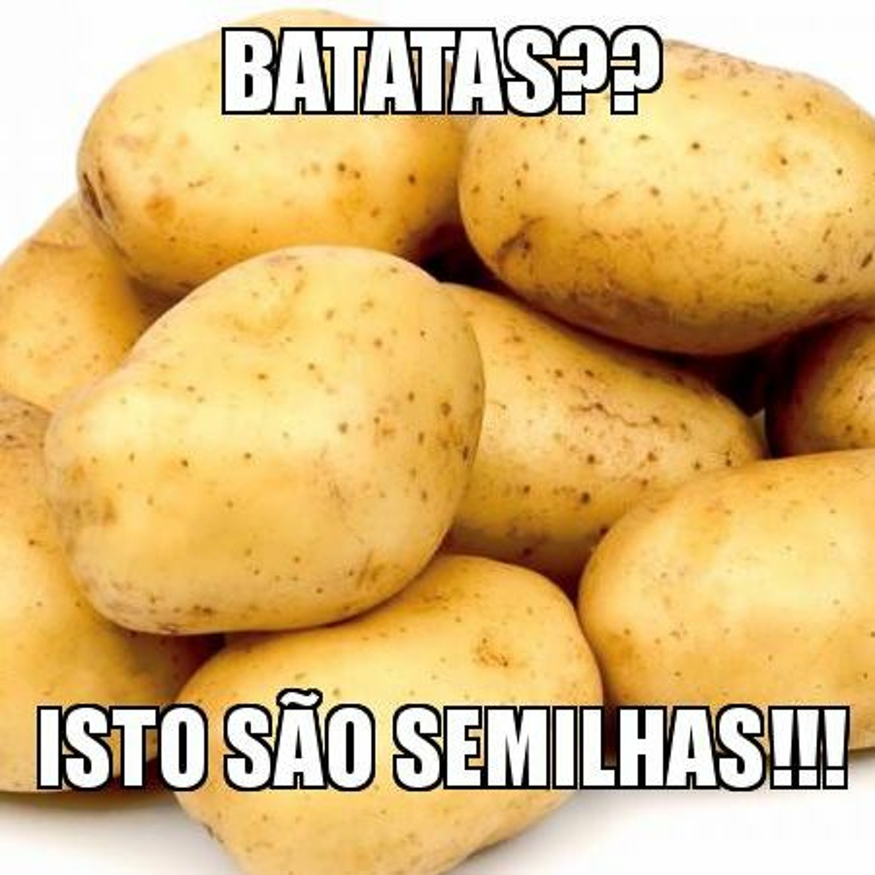 PDC Podcast