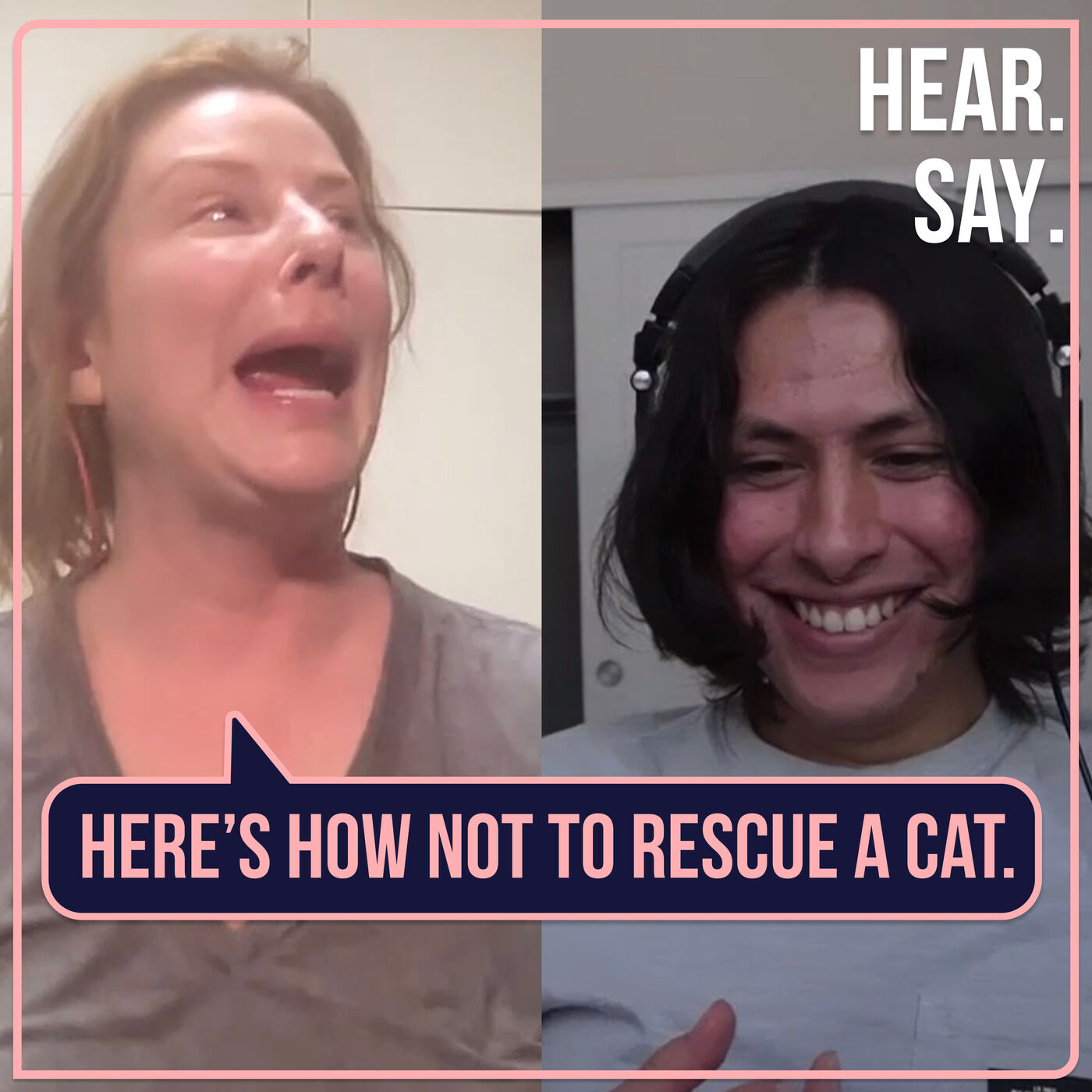 The Hole From Which You Came: Diane Share's How Not to Rescue a Trapped Kitten For Her Birthday