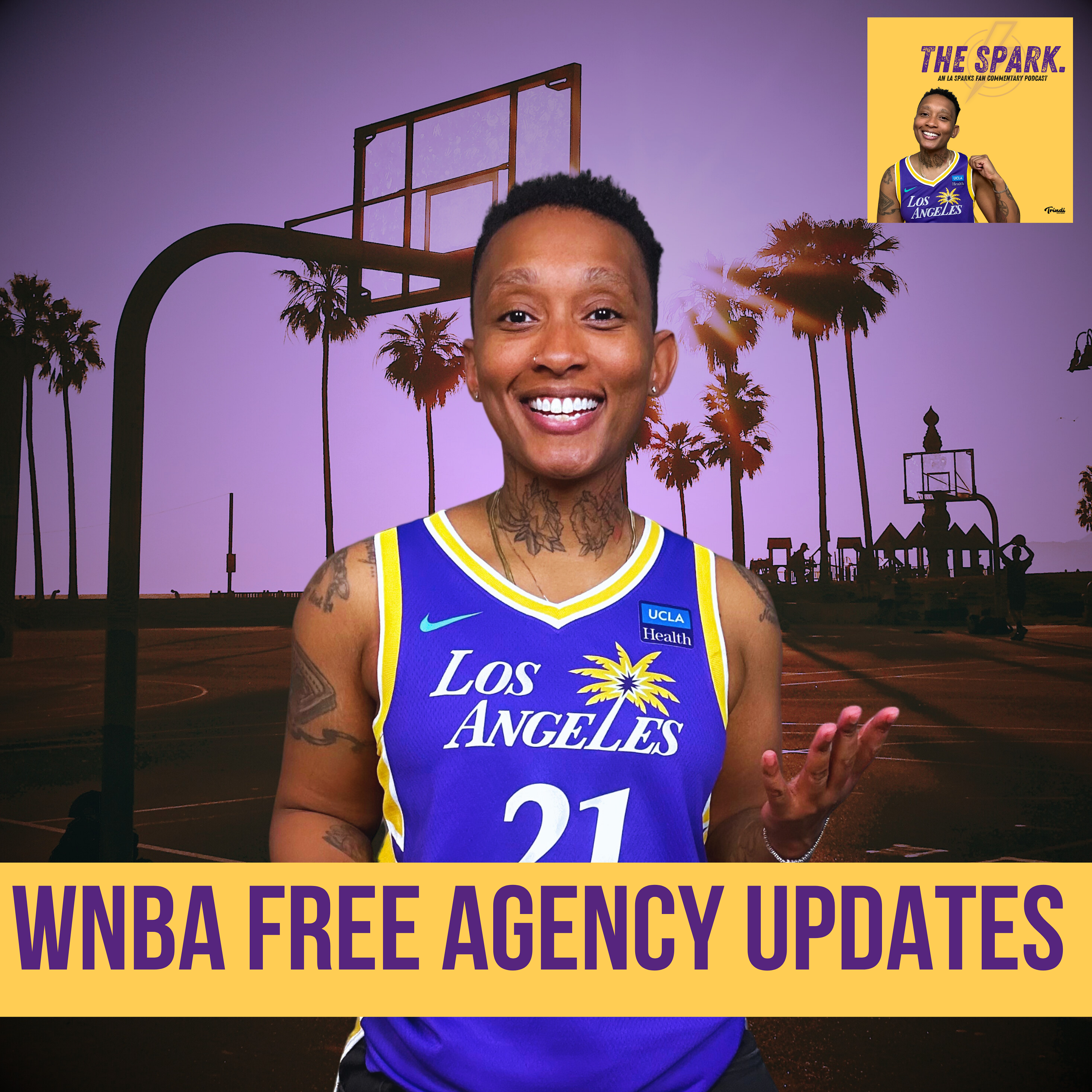 WNBA Free Agency Frenzy