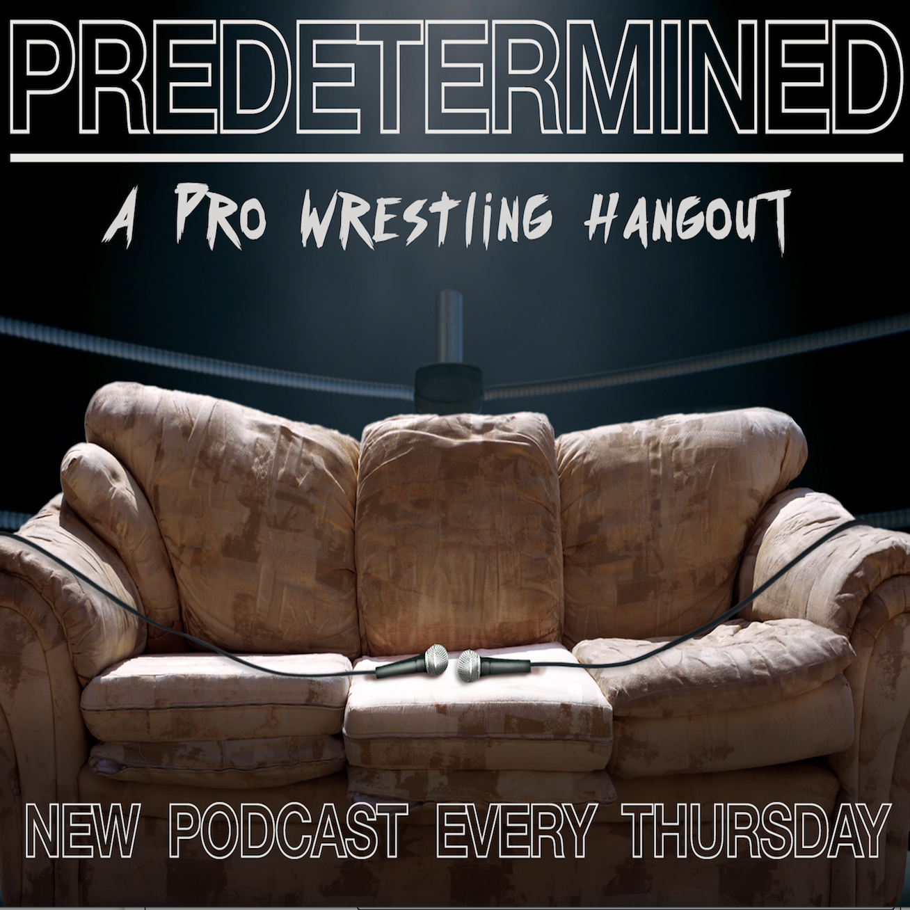 Predetermined: A Pro Wrestling Hangout
