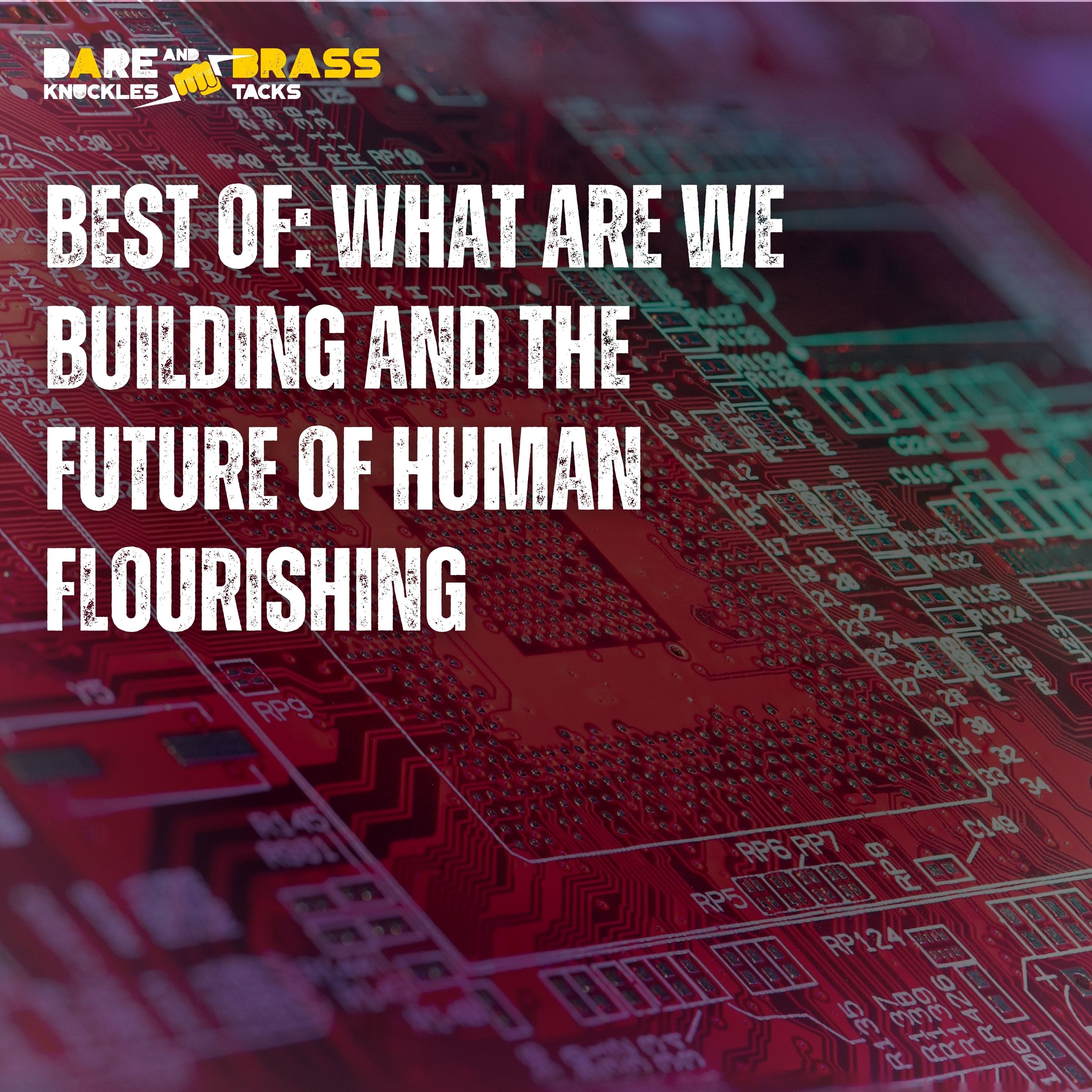 Best Of: What are we building? And the future of human flourishing...