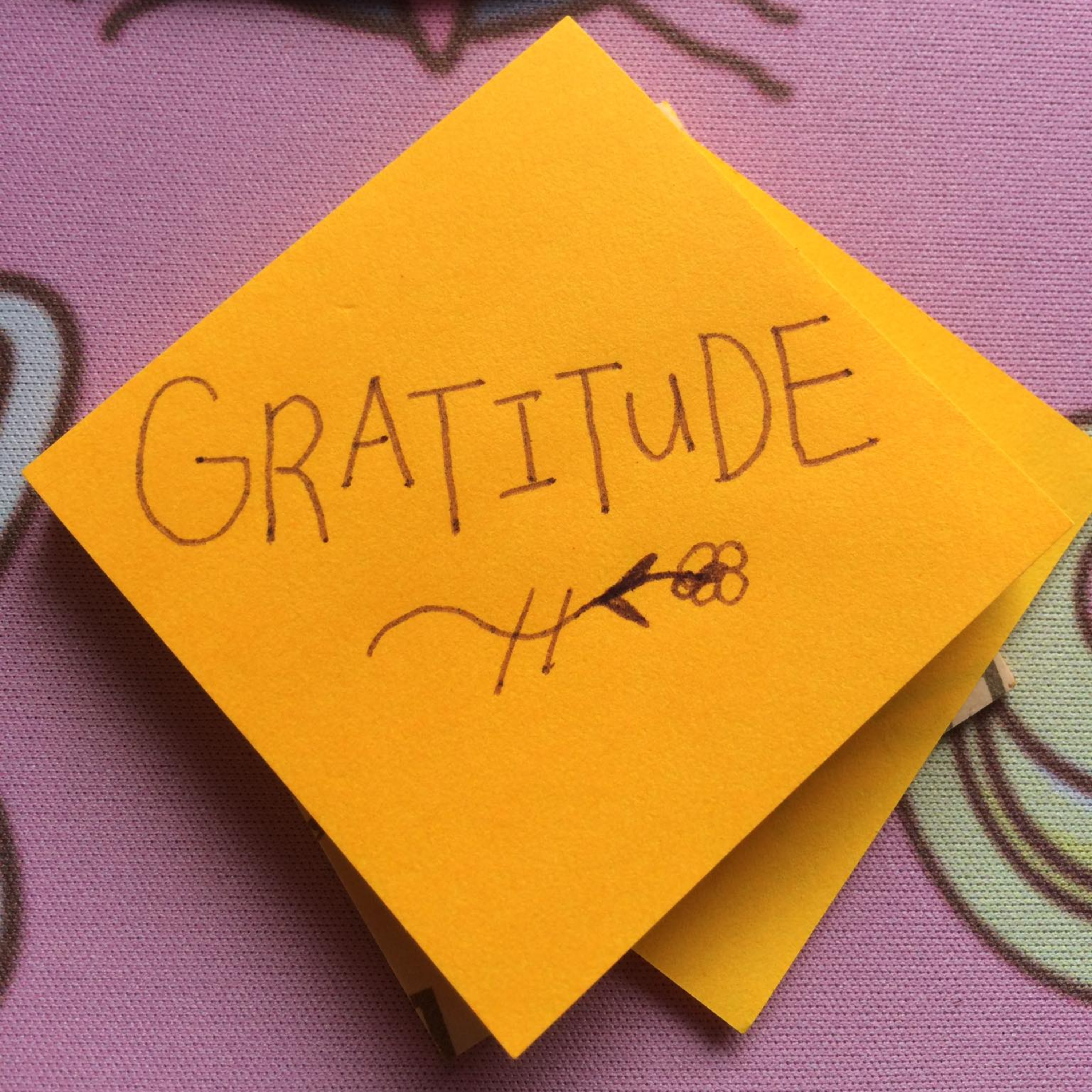 Gratitude episode artwork