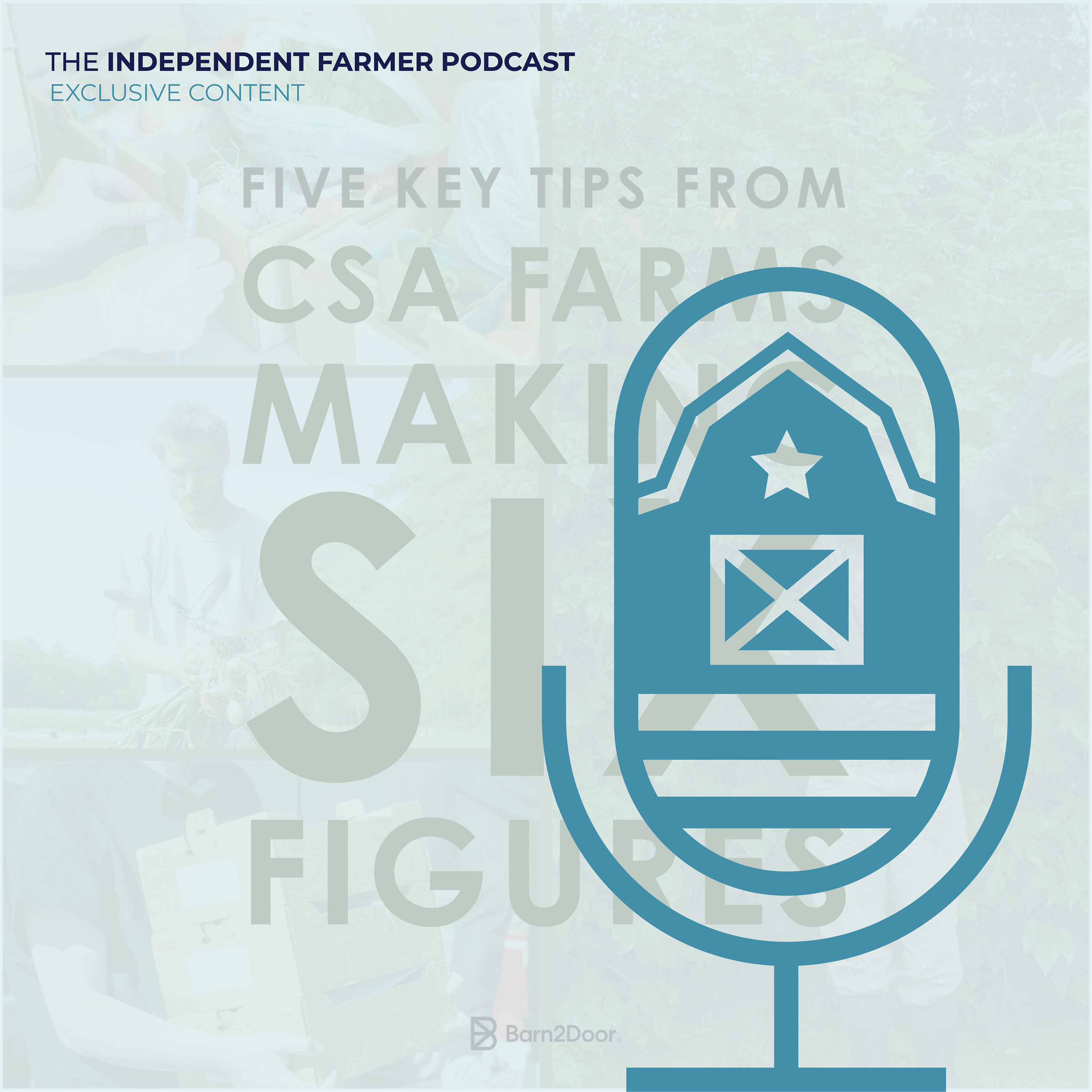 Exclusive Content: Five Key Tips from CSA Farms Making Six Figures