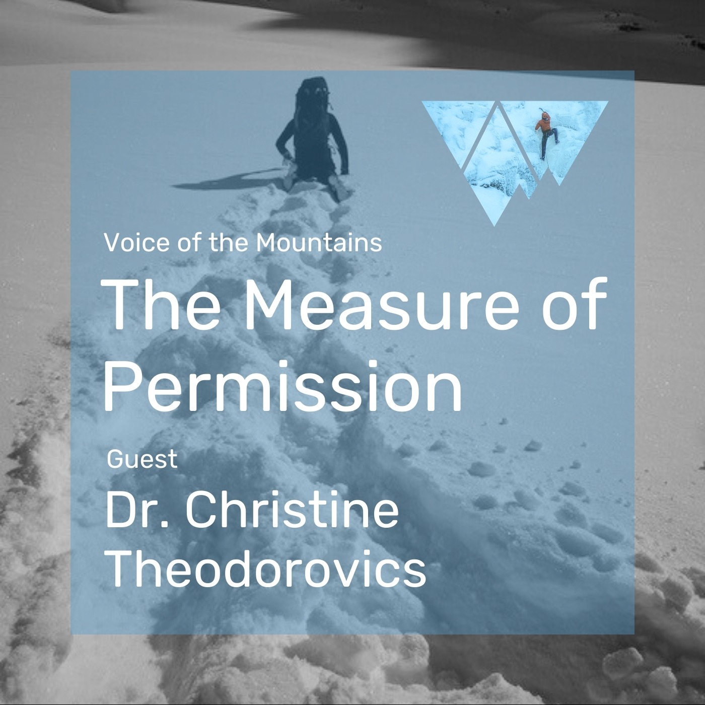 Voice of the Mountains: The Measure of Permission with Dr. Christine Theodorovics episode artwork