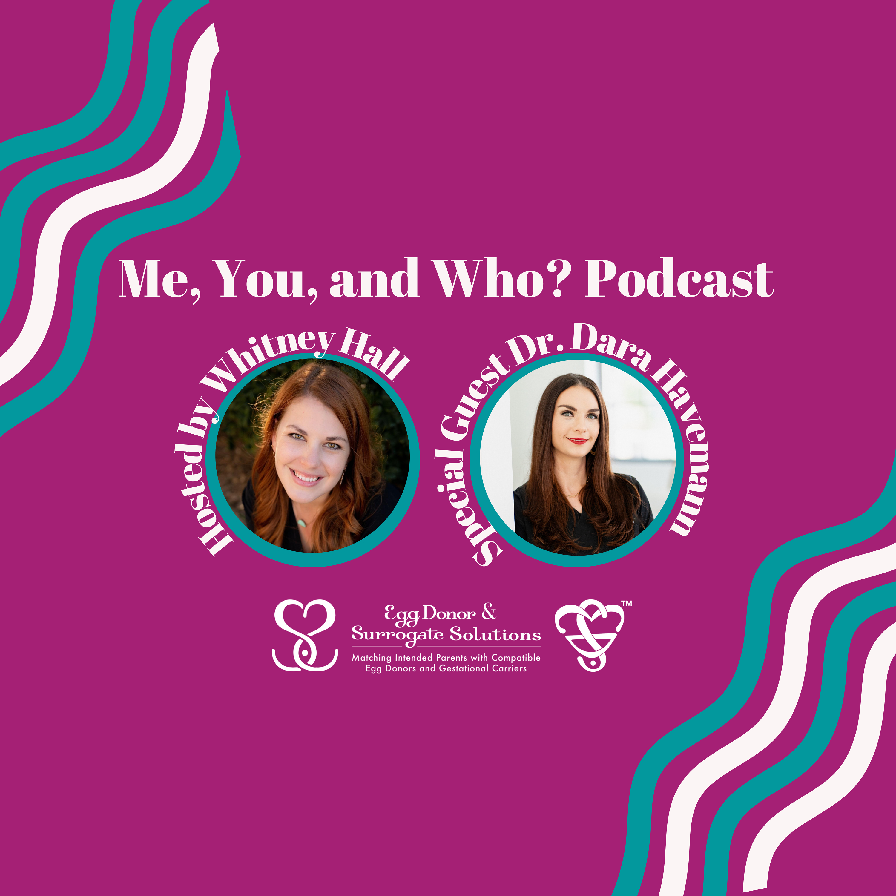 Who? An Infertility Specialist at Dallas IVF, Dr. Dara Havemann