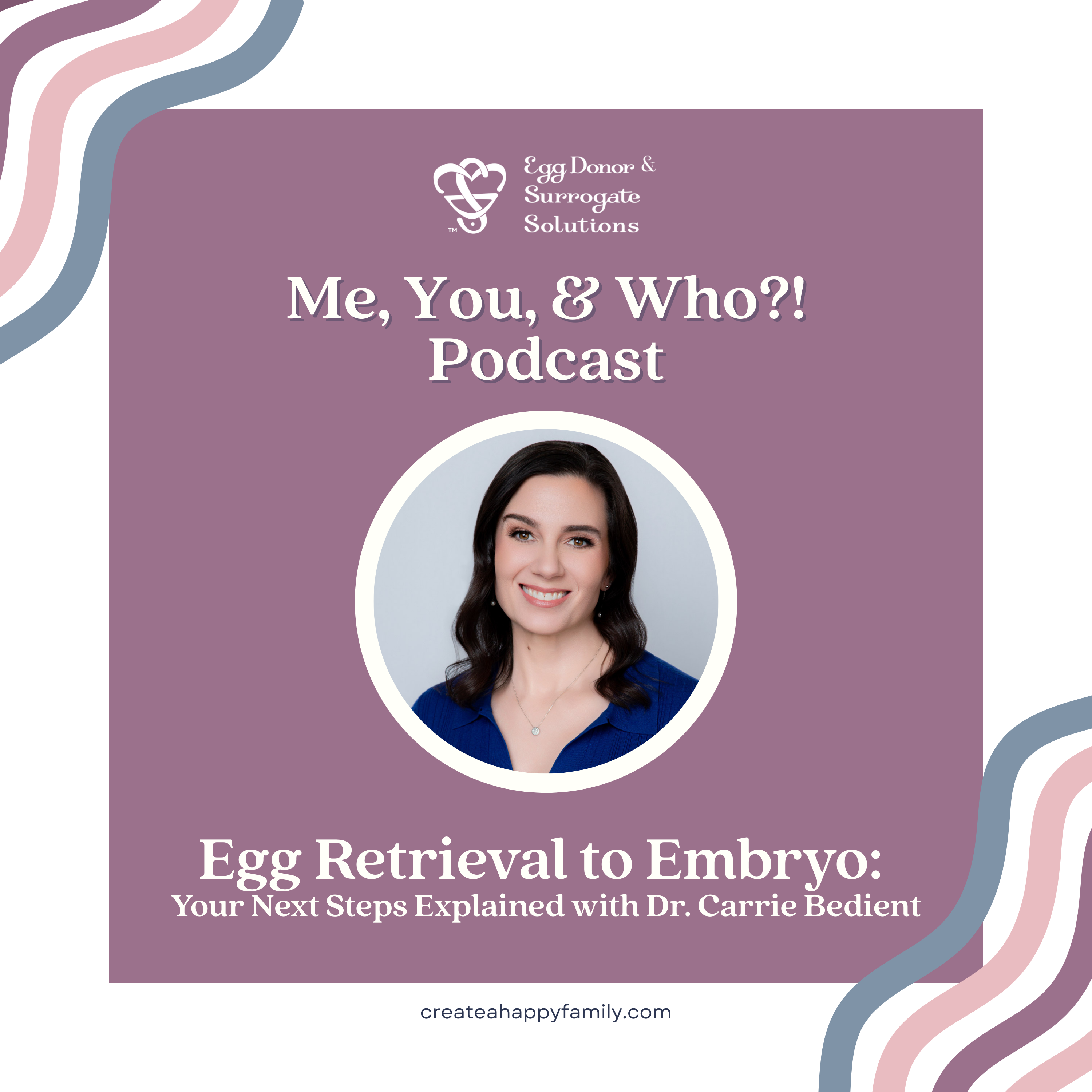 Egg Retrieval to Embryo: Your Next Steps Explained (with Dr. Carrie Bedient)