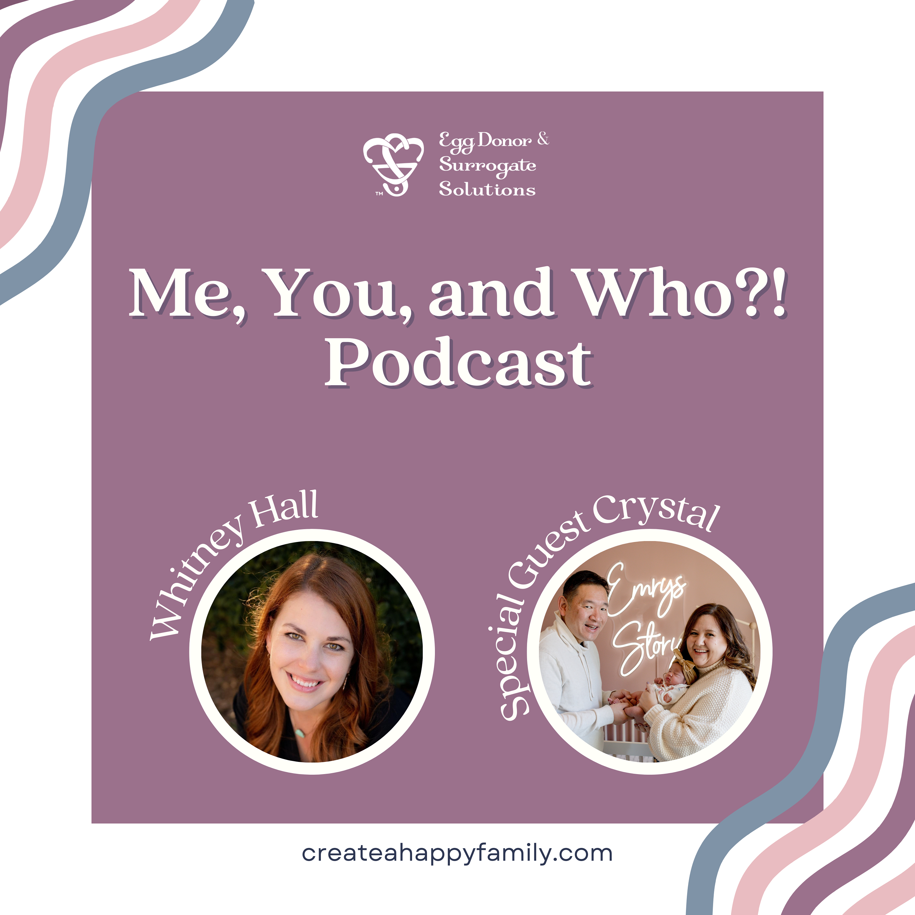 Who?- An Intended Mother via Surrogacy and Everly's mama