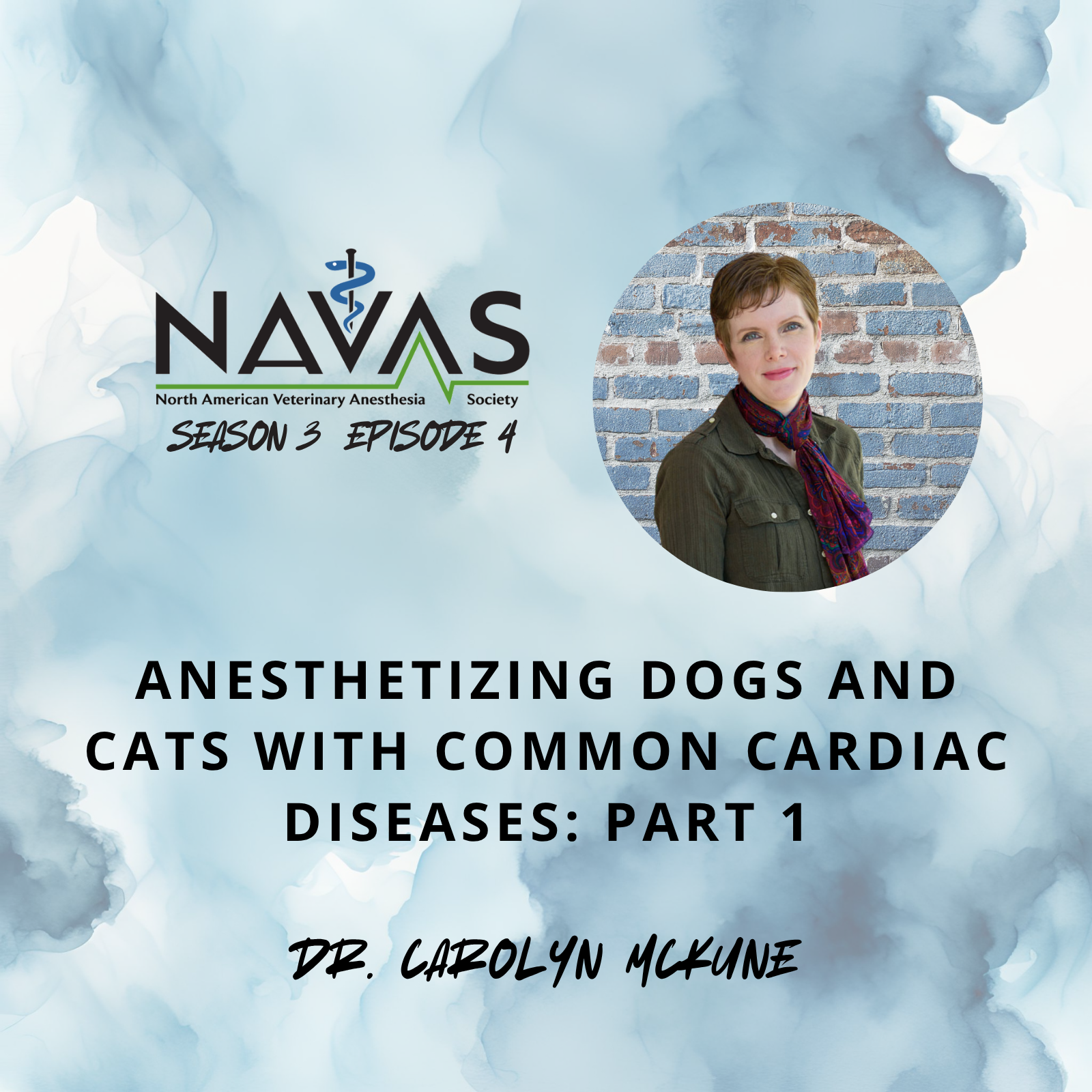 North American Veterinary Anesthesia Society Podcast