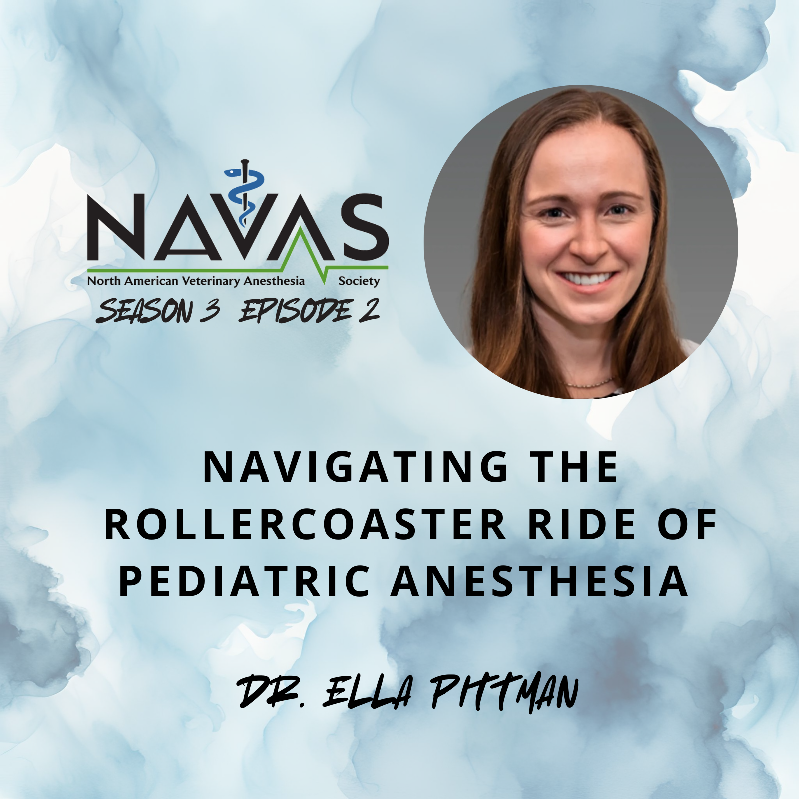 North American Veterinary Anesthesia Society Podcast