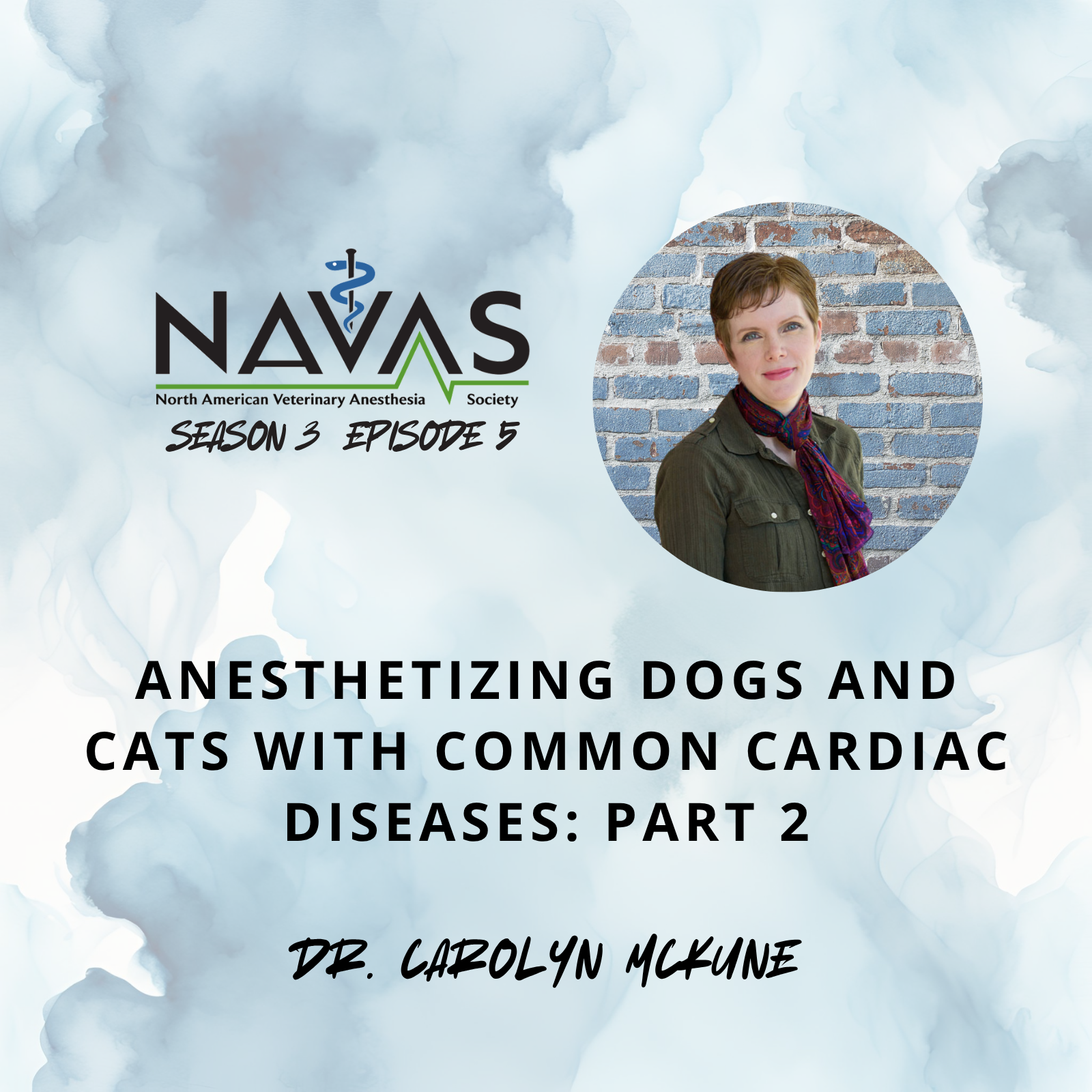 North American Veterinary Anesthesia Society Podcast