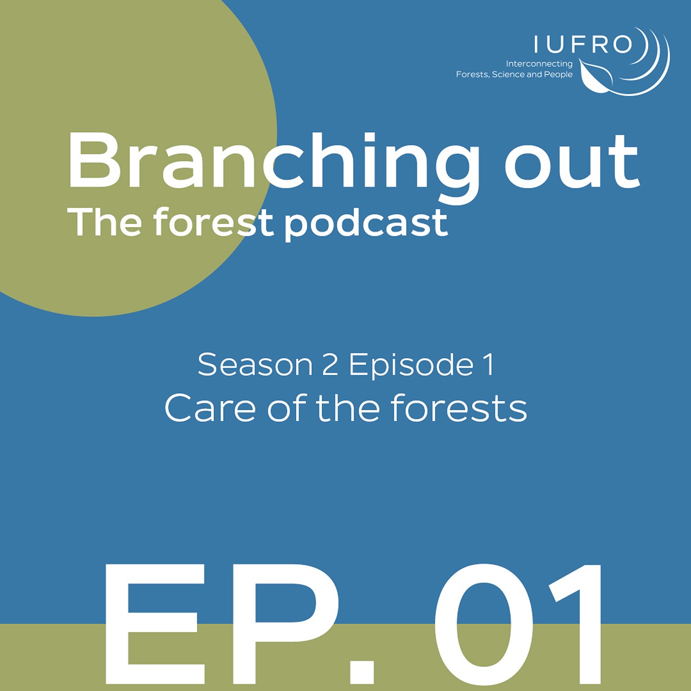 Episode 1: Care of the forests