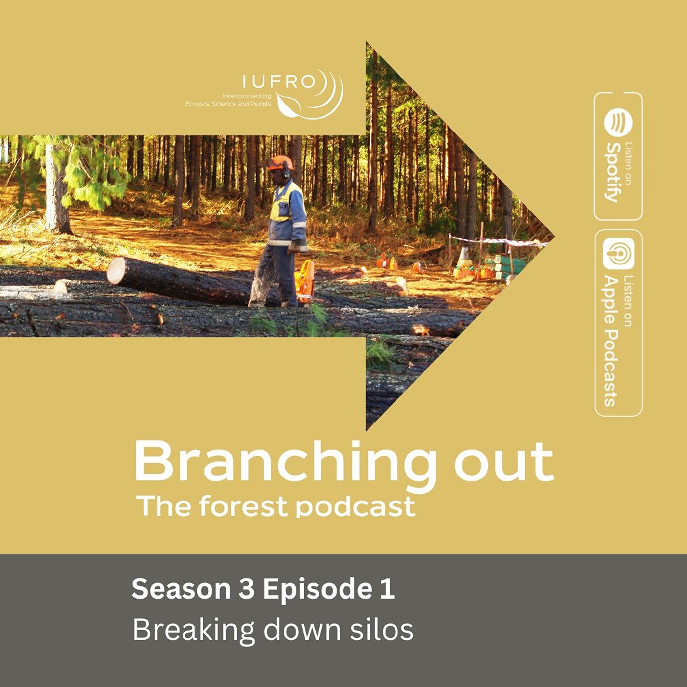 Episode 1: Breaking down silos
