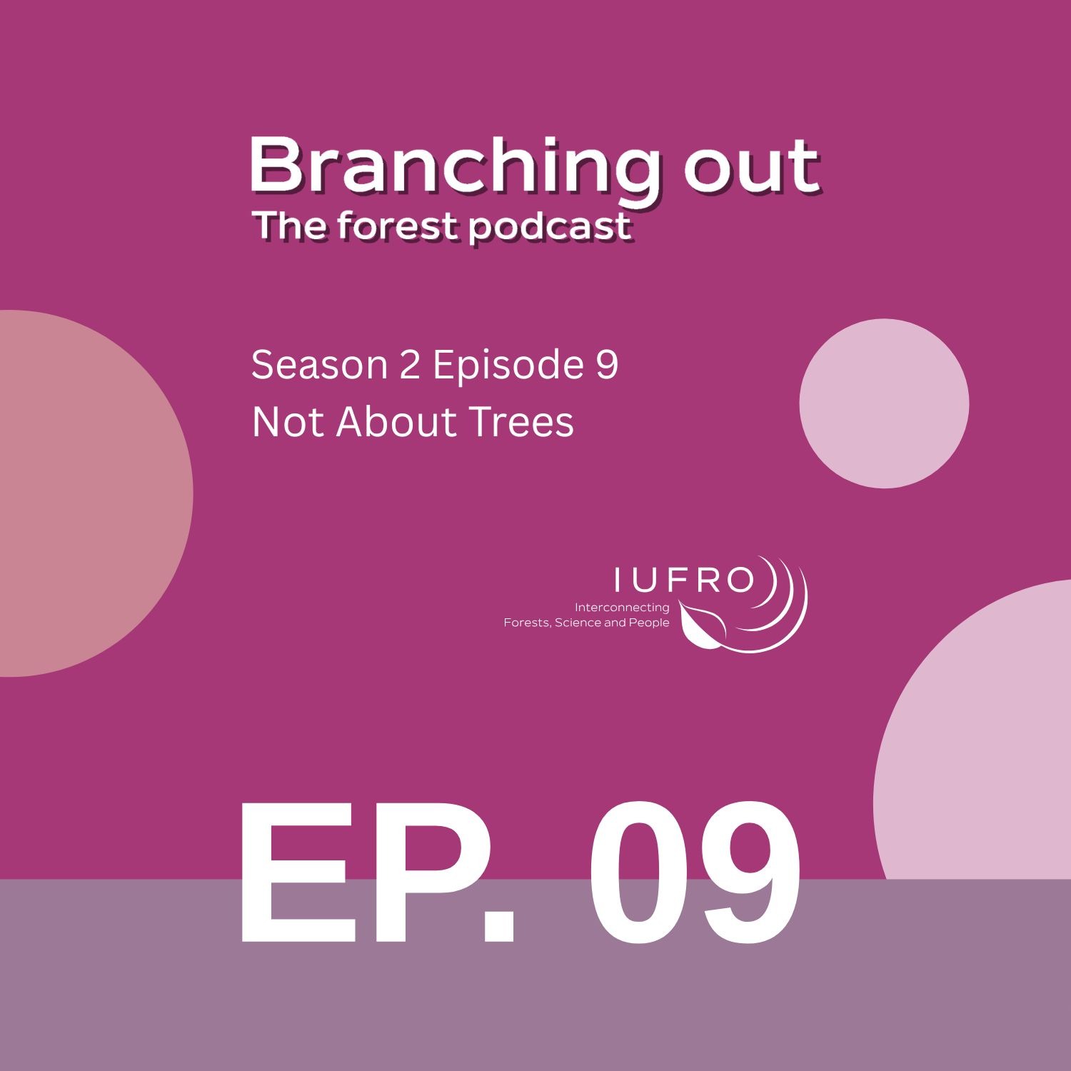 Episode 9: Not About Trees