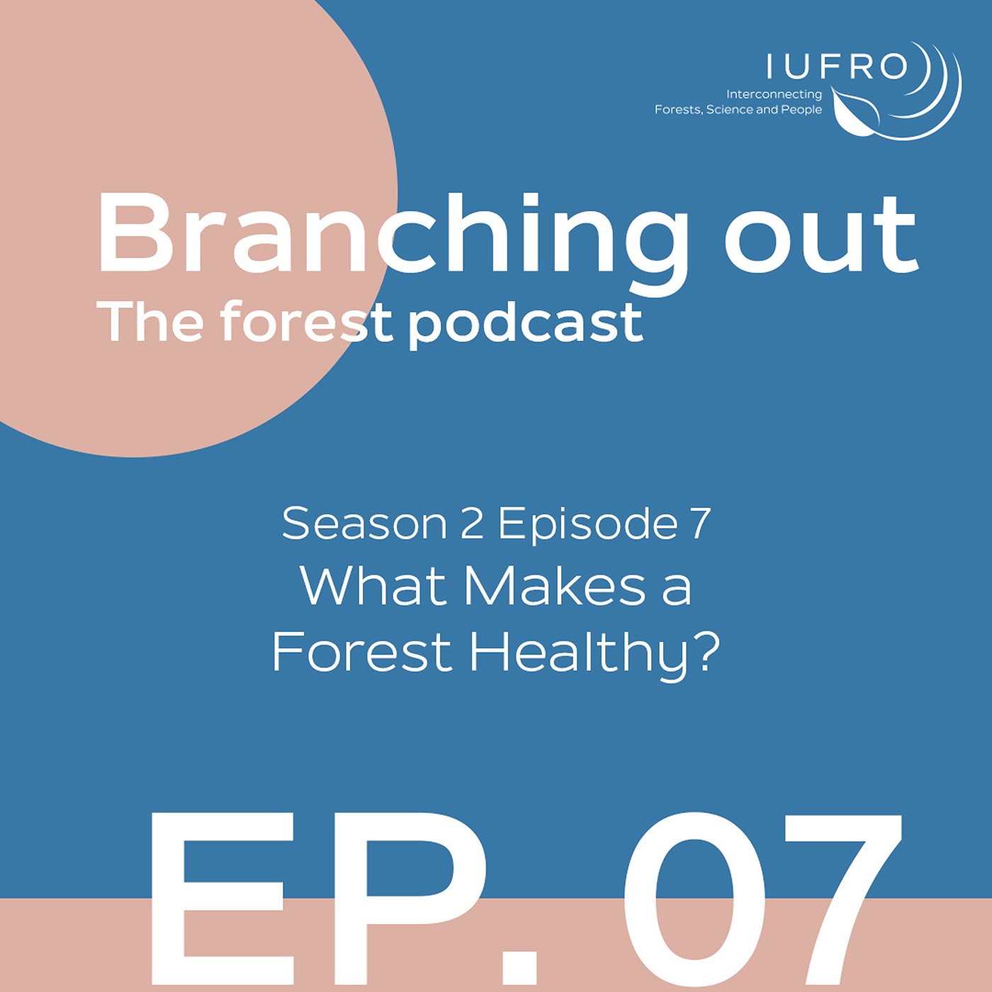 Episode 7: What is a Healthy Forest?