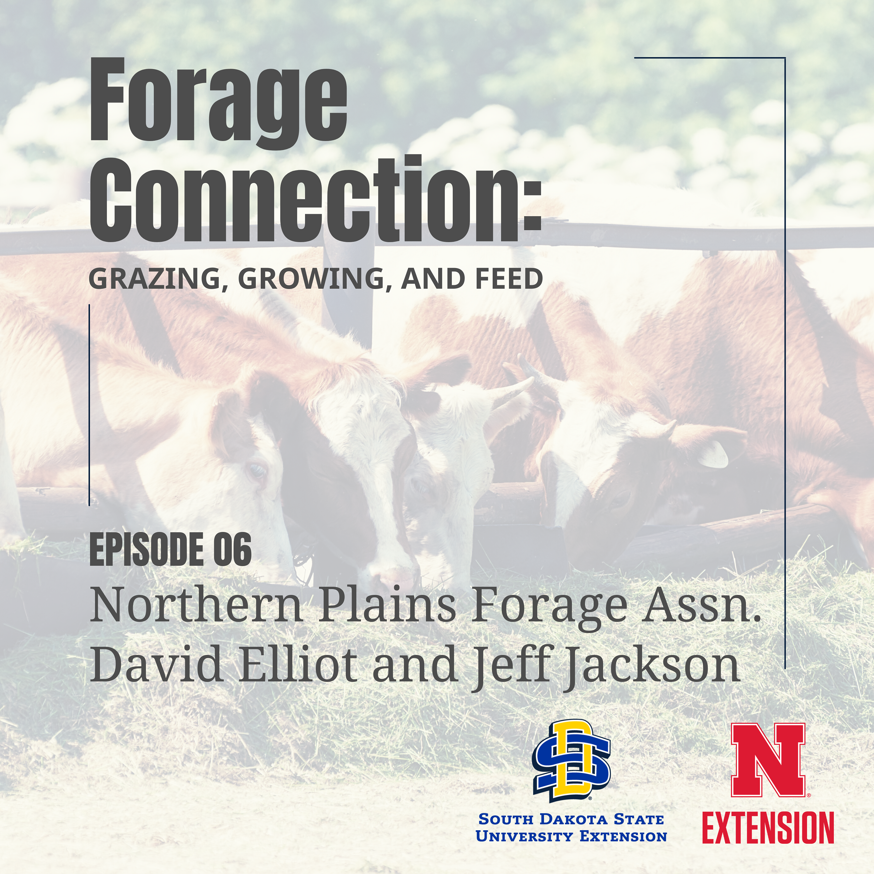 Northern Plains Forage Assn: David Elliot and Jeff Jackson