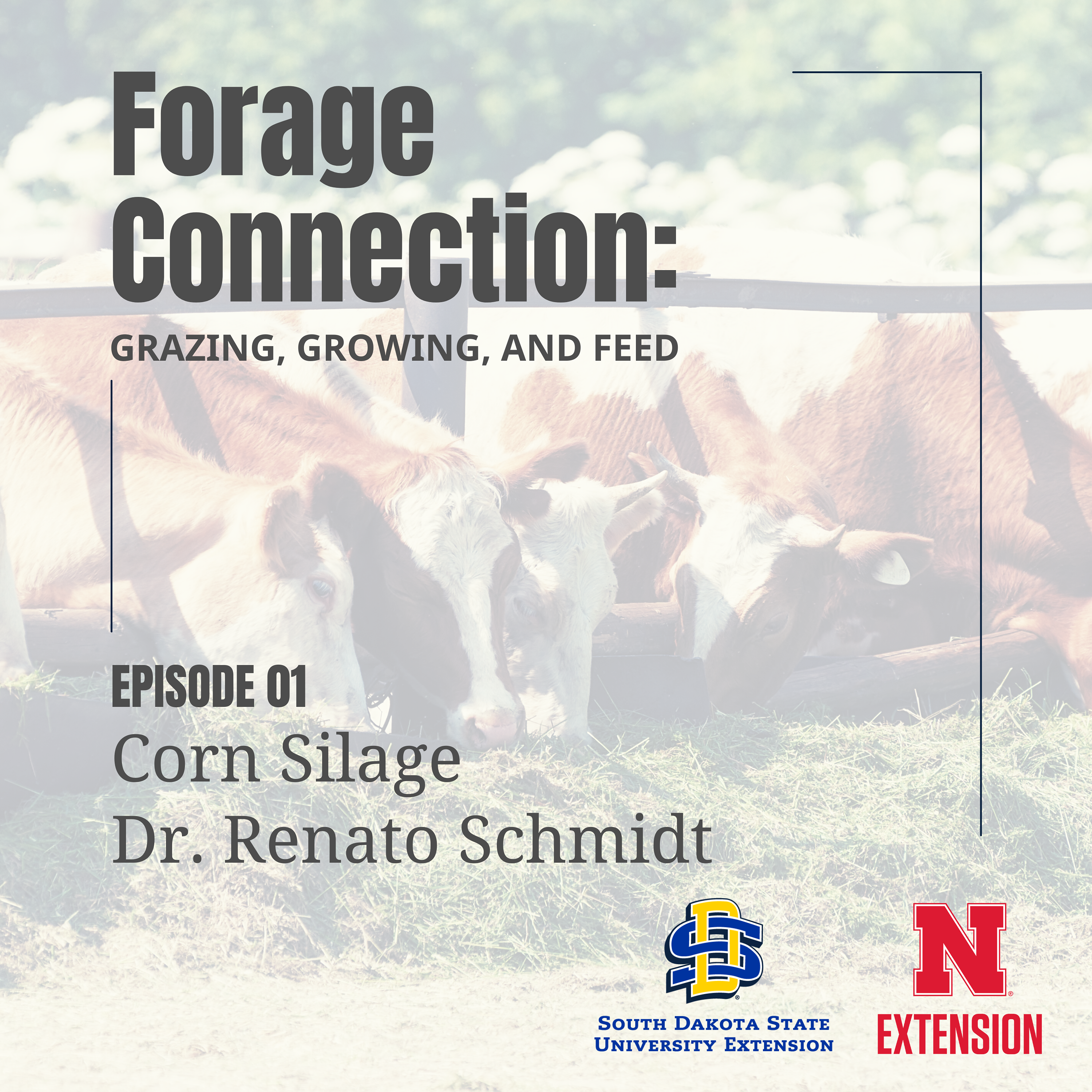 Corn Silage: Dr. Renato Schmidt - Part 1