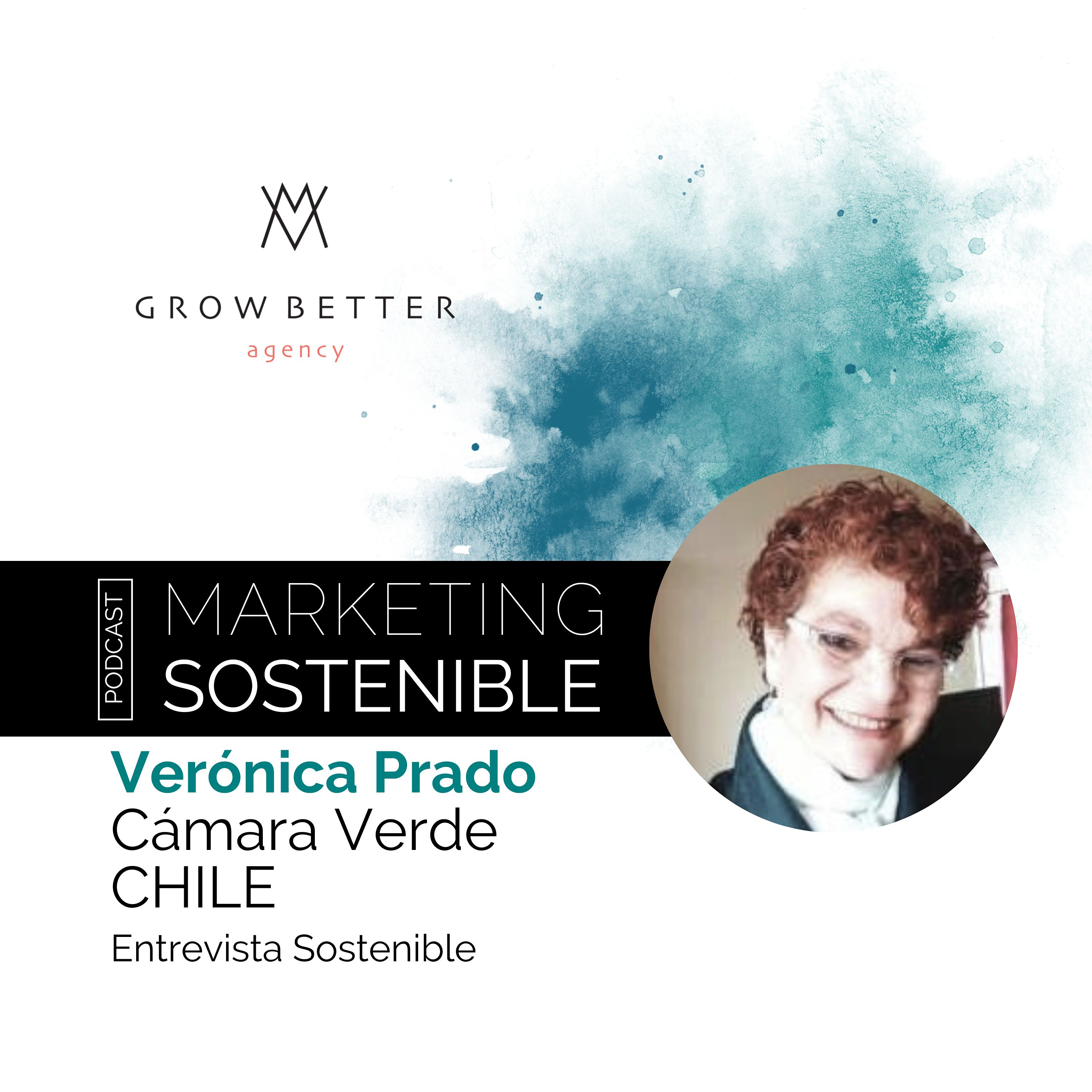 Marketing Sostenible