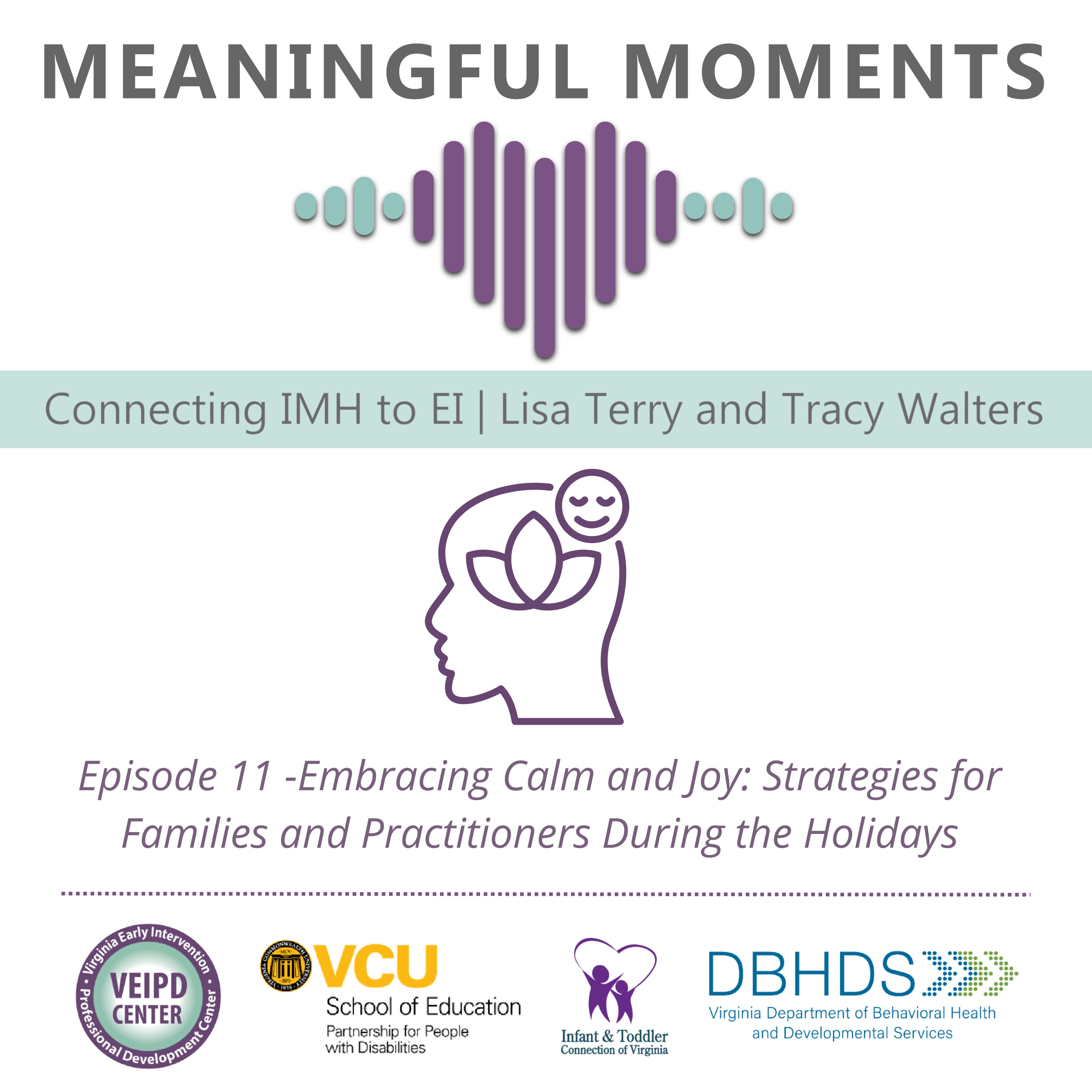 Meaningful Moments - Connecting IMH to EI