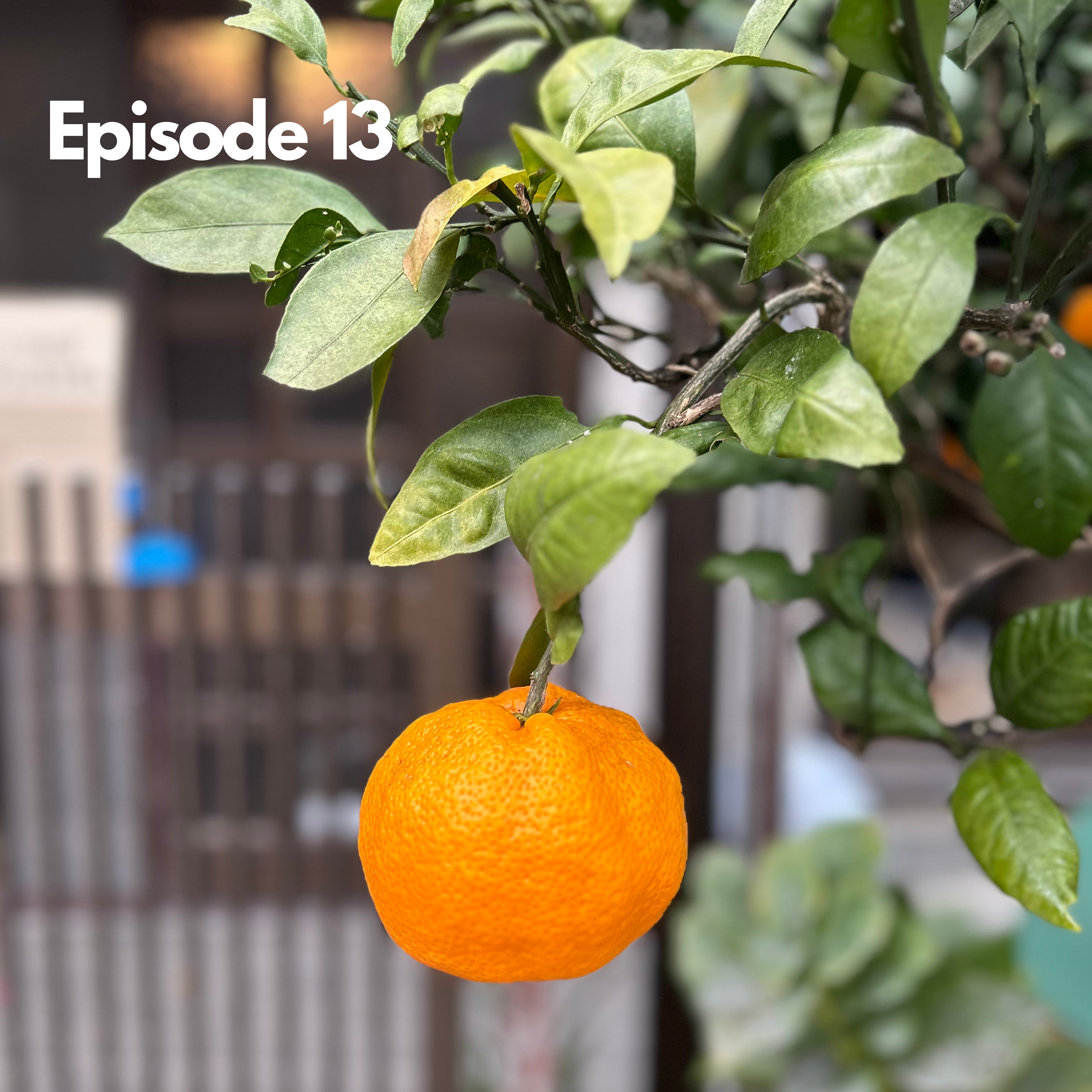 5 things we did wrong, 5 things we did right