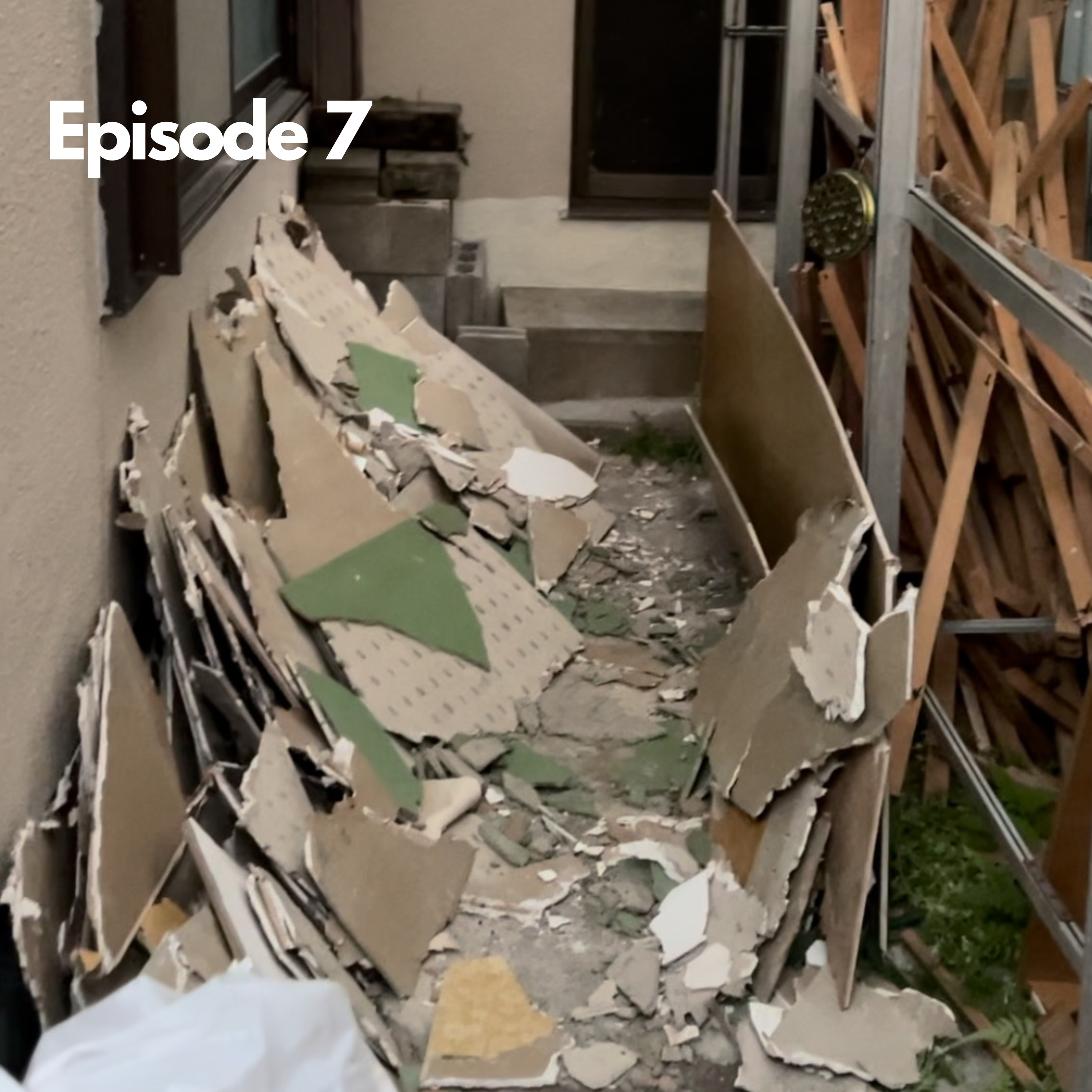 Professional Cleaners, Gym memberships, & Laundry in Japan