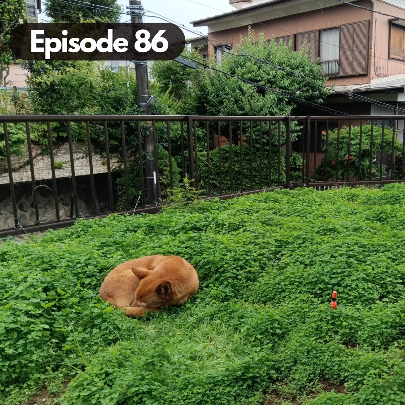 Dear Diary Series: Otaru Akiya Project + Trip Recap