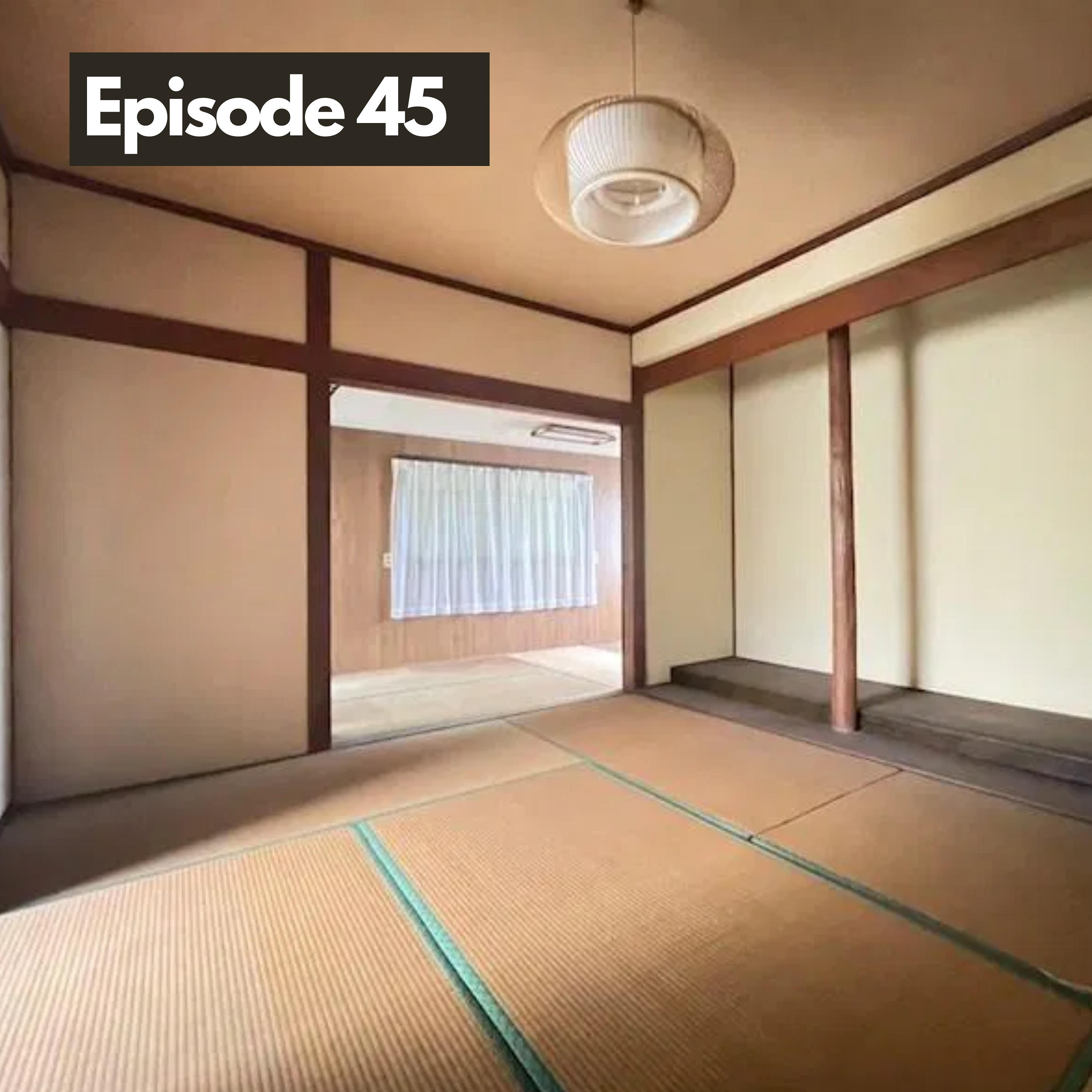 Buying a $3500 House Series: Long-term Rentals, Renovations, and Insider Tips