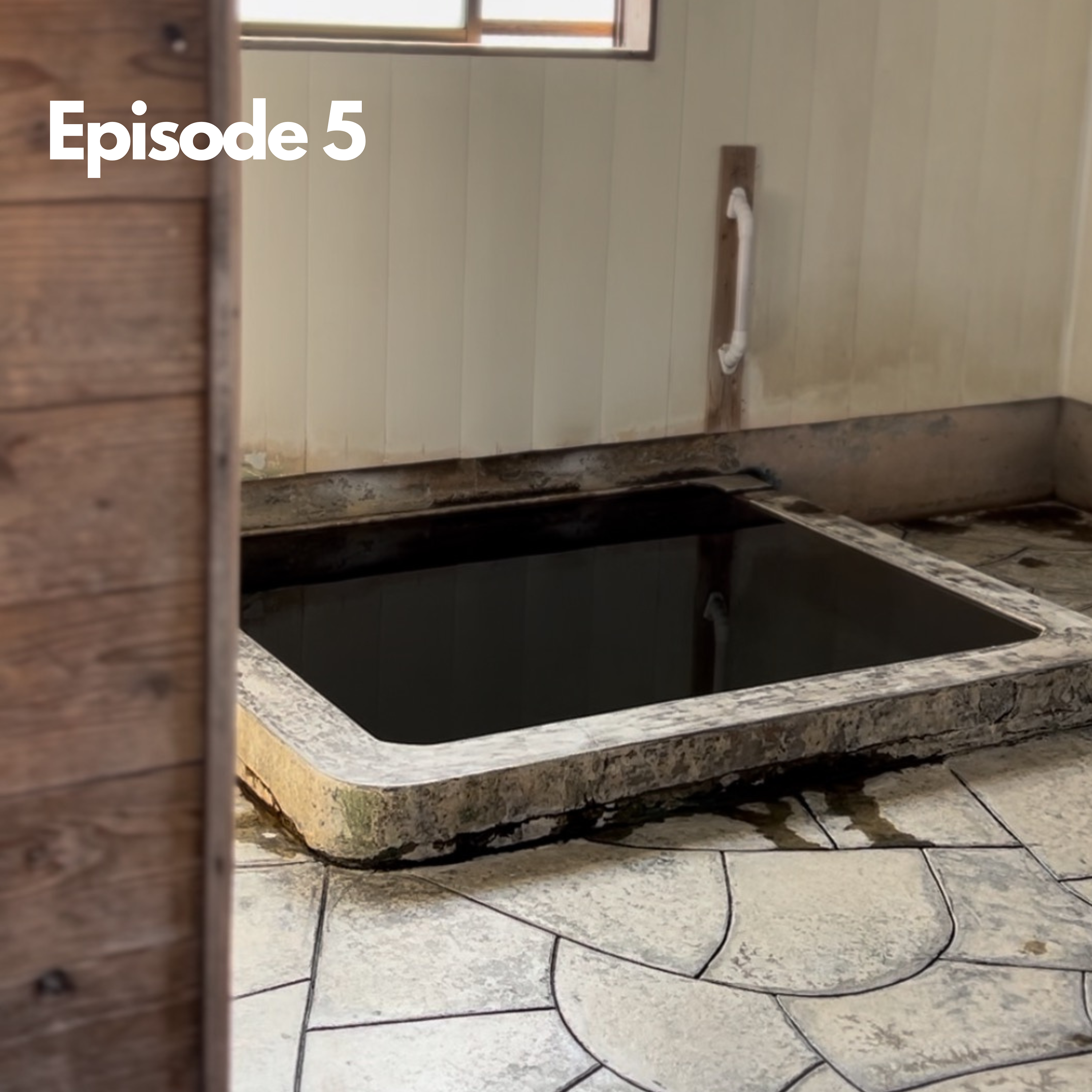 Dear Diary Series - Master Bathers