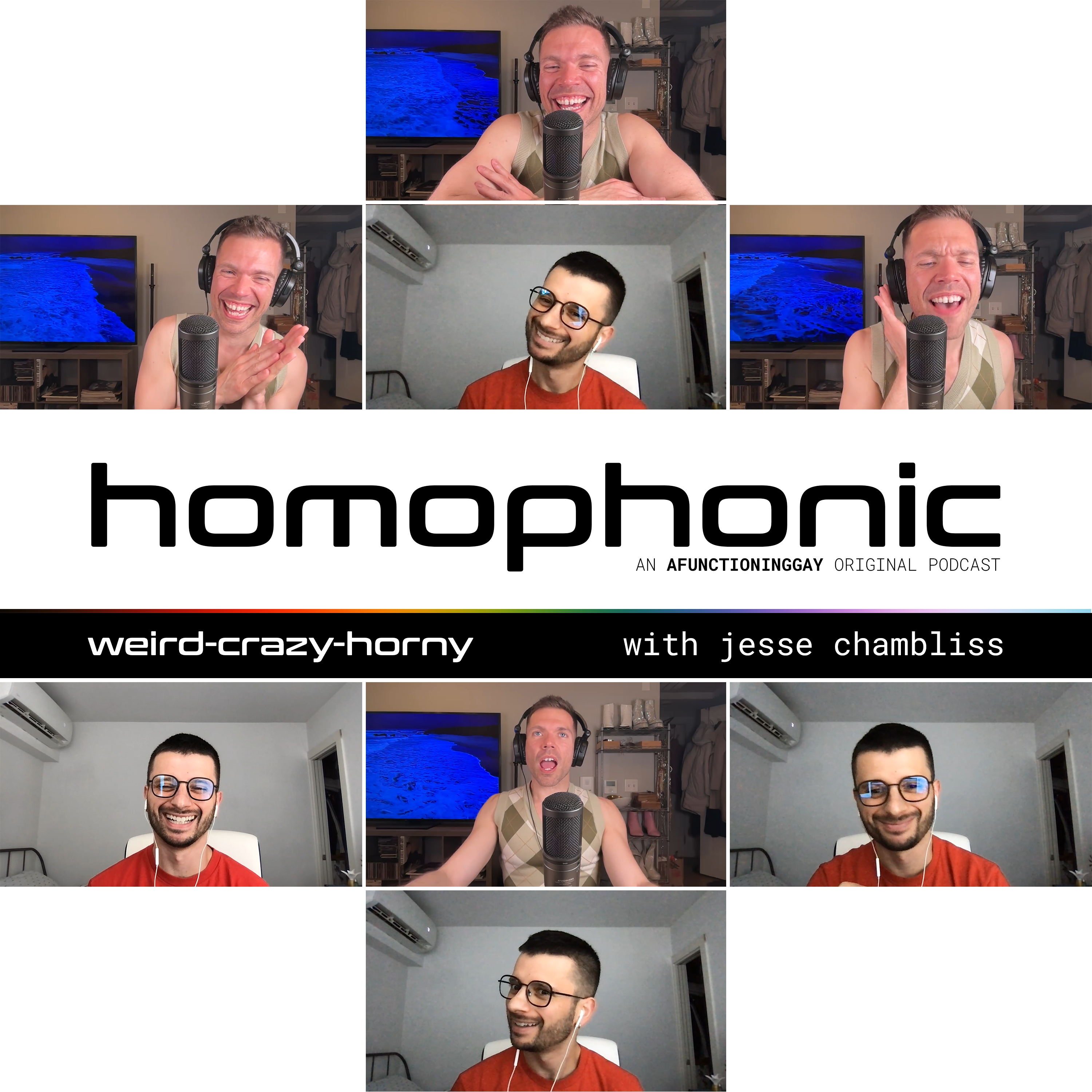 HOMOPHONIC