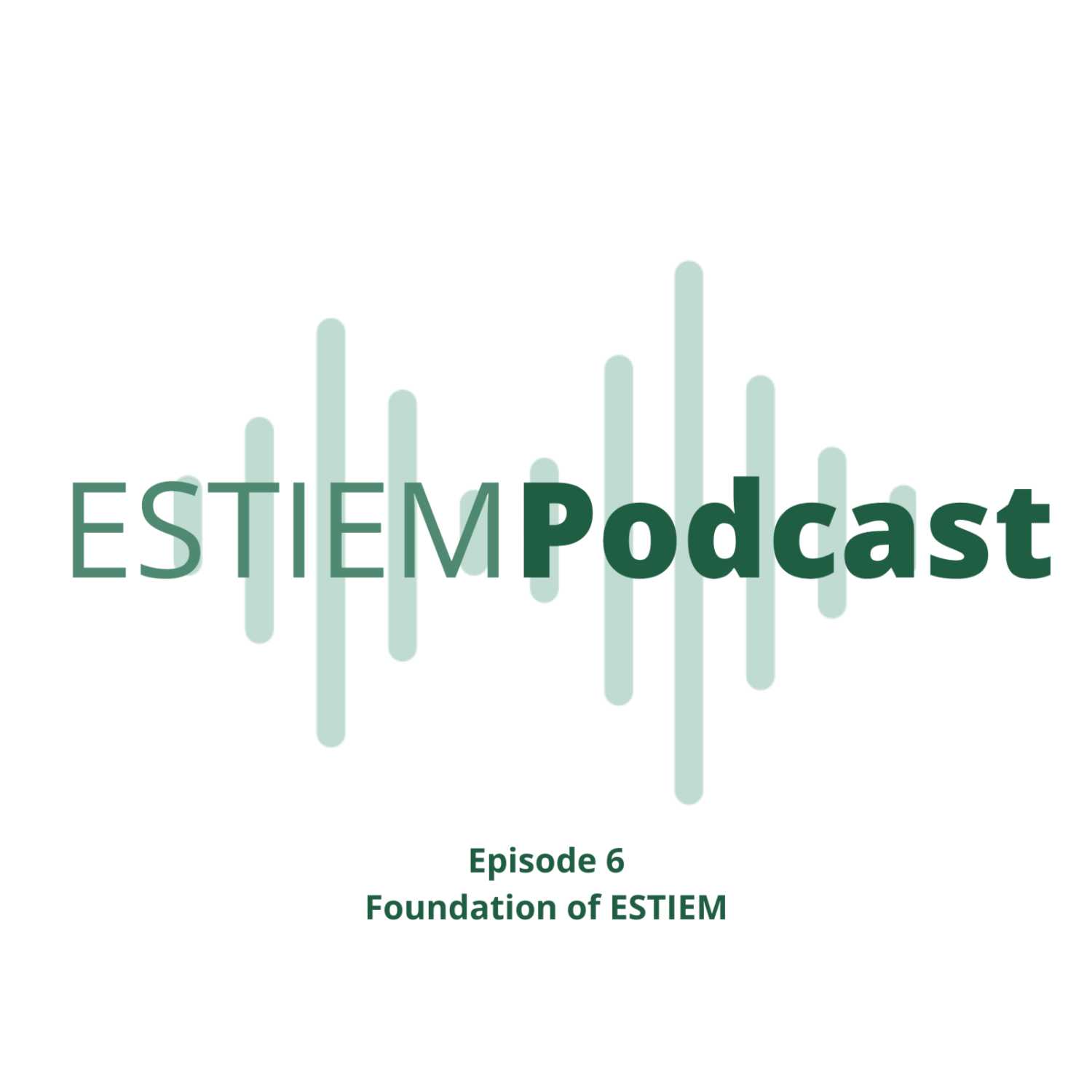 Foundation of ESTIEM