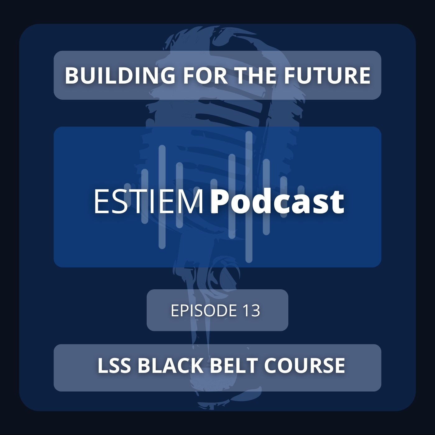 Building For The Future | LSS Black Belt Course