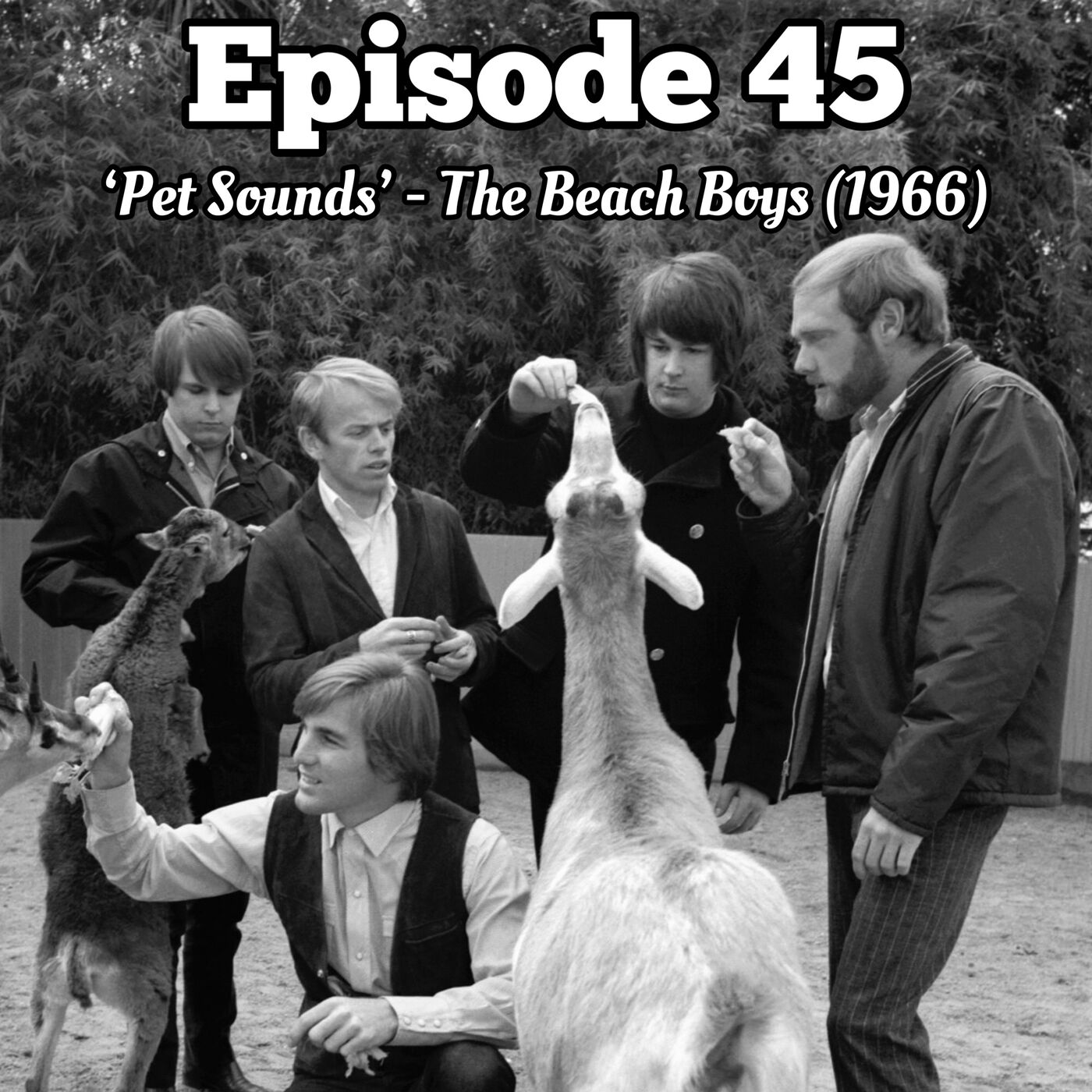 45. 'Pet Sounds' - The Beach Boys (1966)