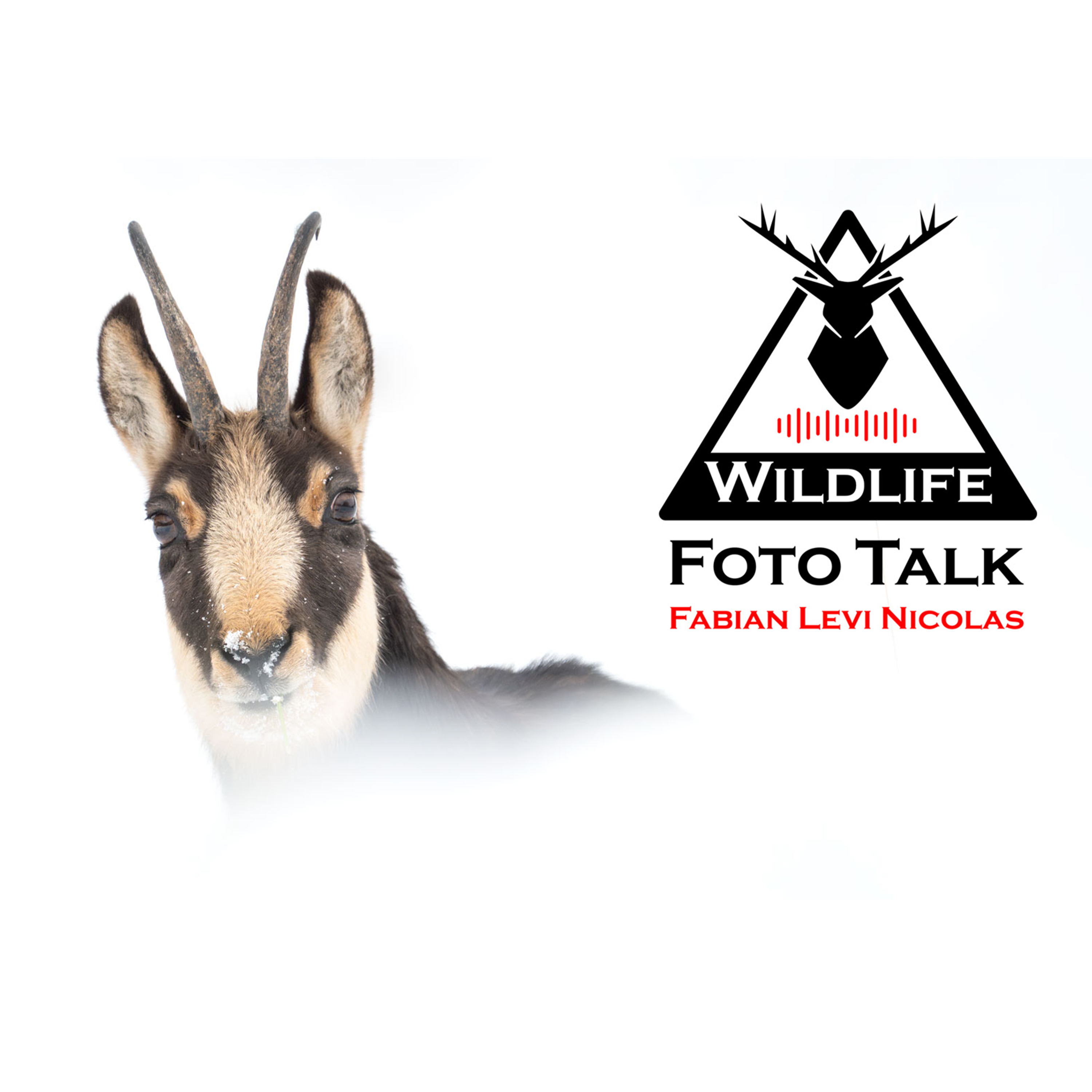 Wildlife Foto Talk