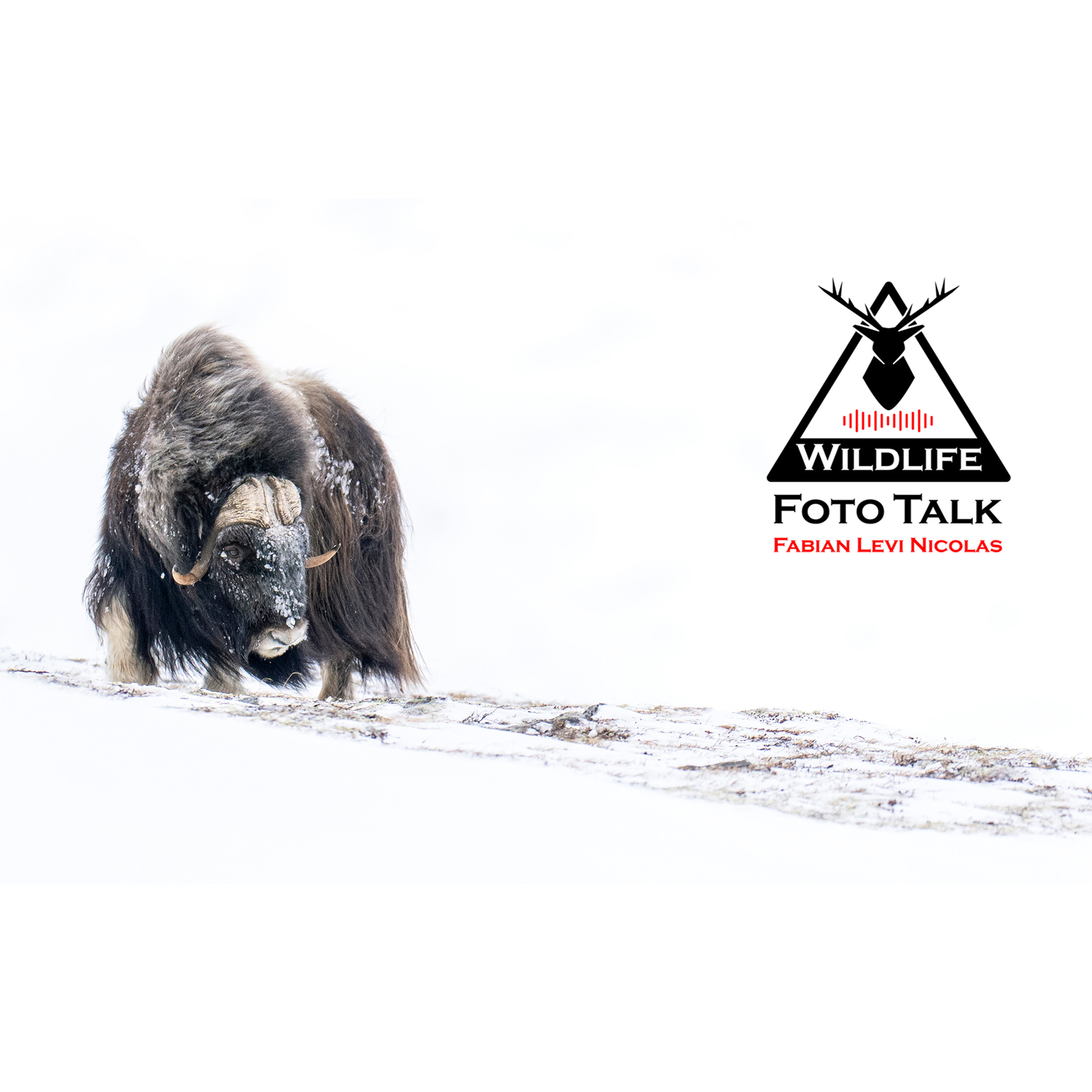 Wildlife Foto Talk