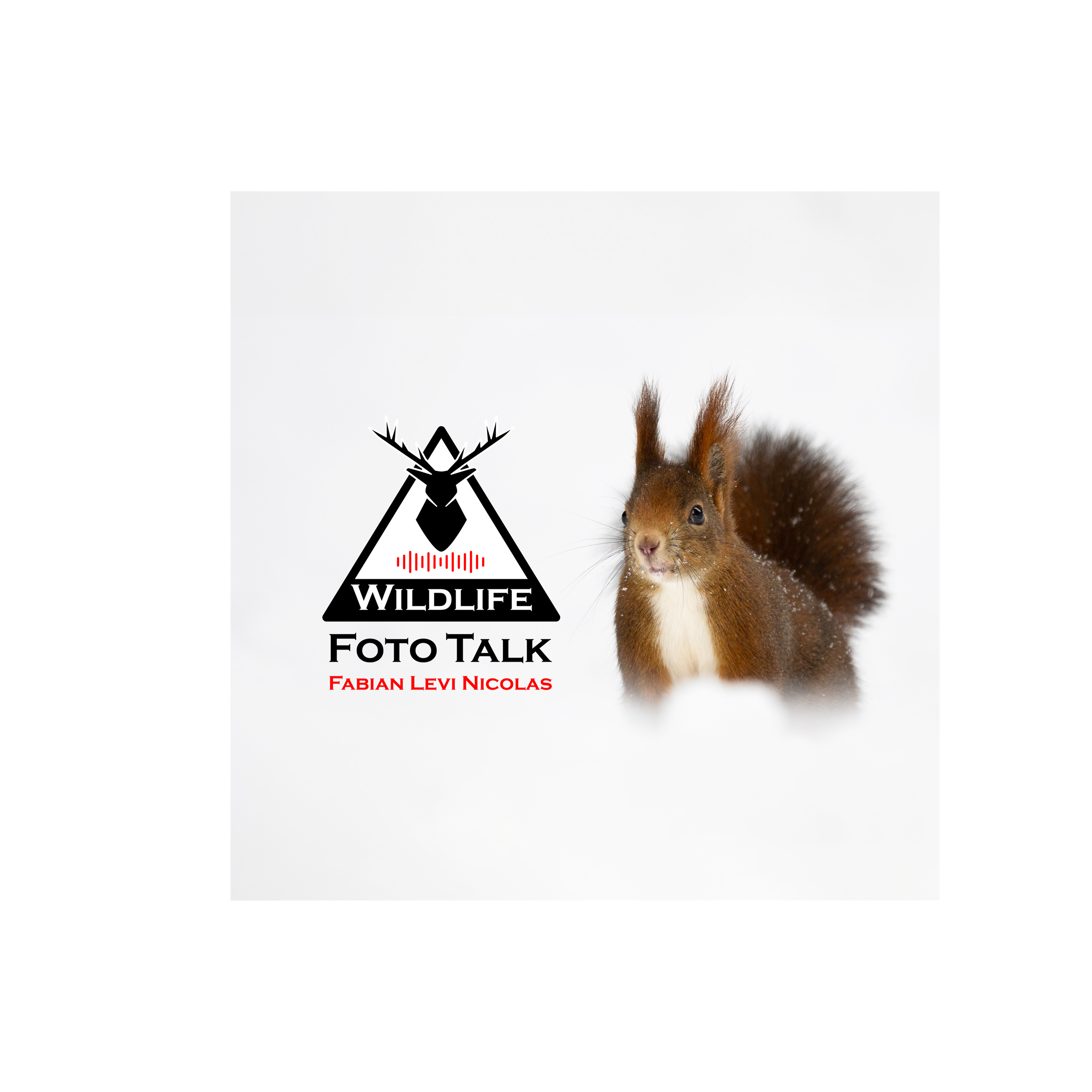 Wildlife Foto Talk