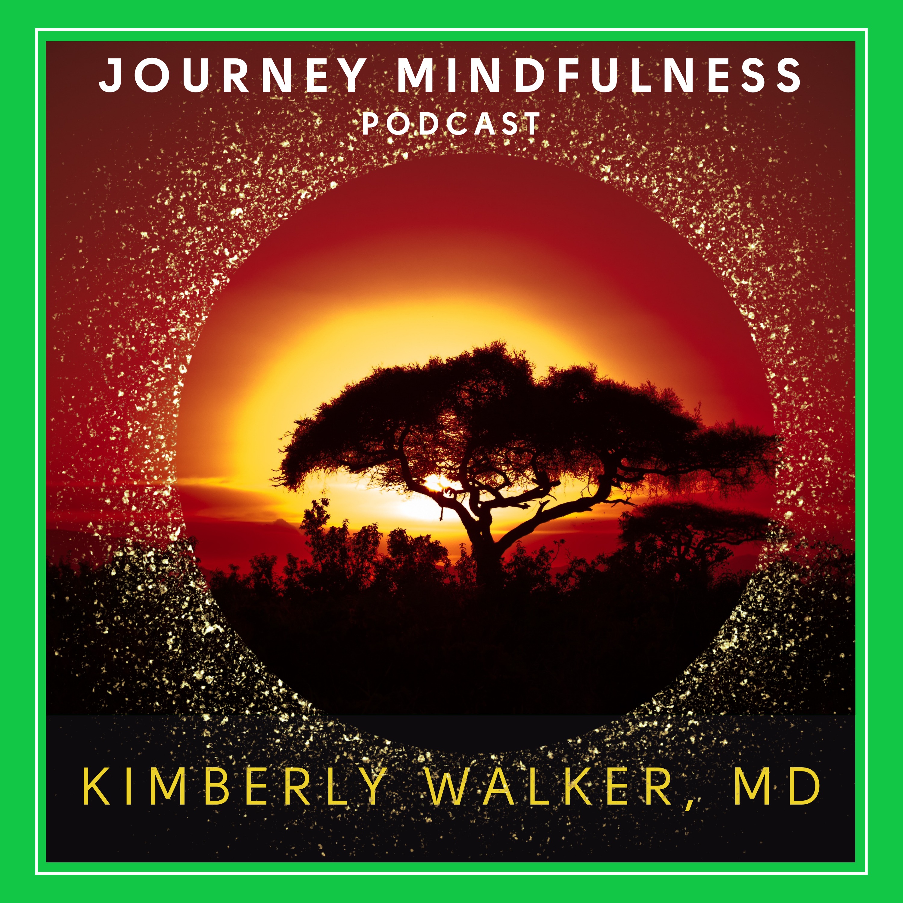 Dr. Kimberly Walker on Burnout, Belief Shifts & Healing the Root Cause with Hypnotherapy episode artwork
