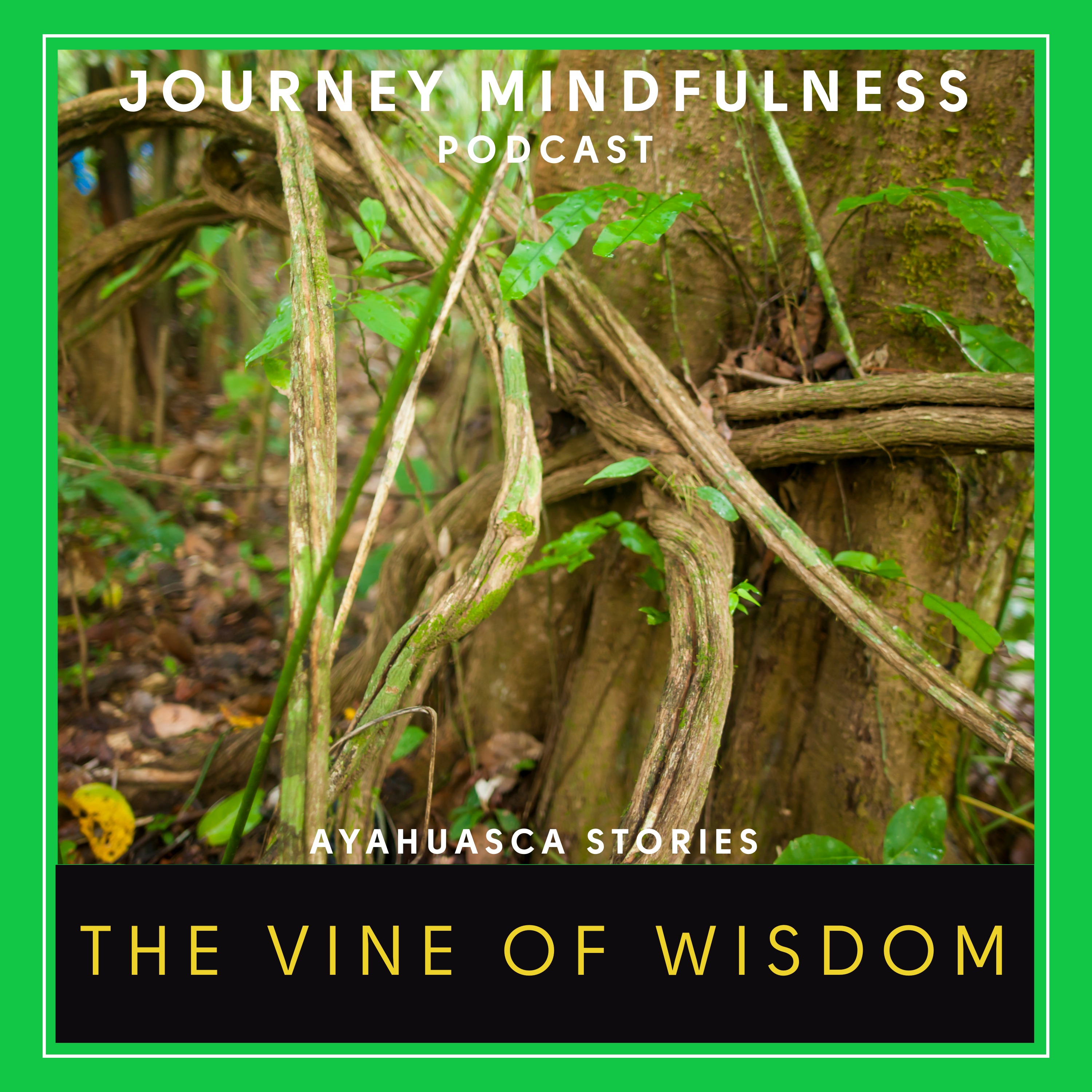Ep. 4: The Vine of Wisdom: Ayahuasca Stories episode artwork