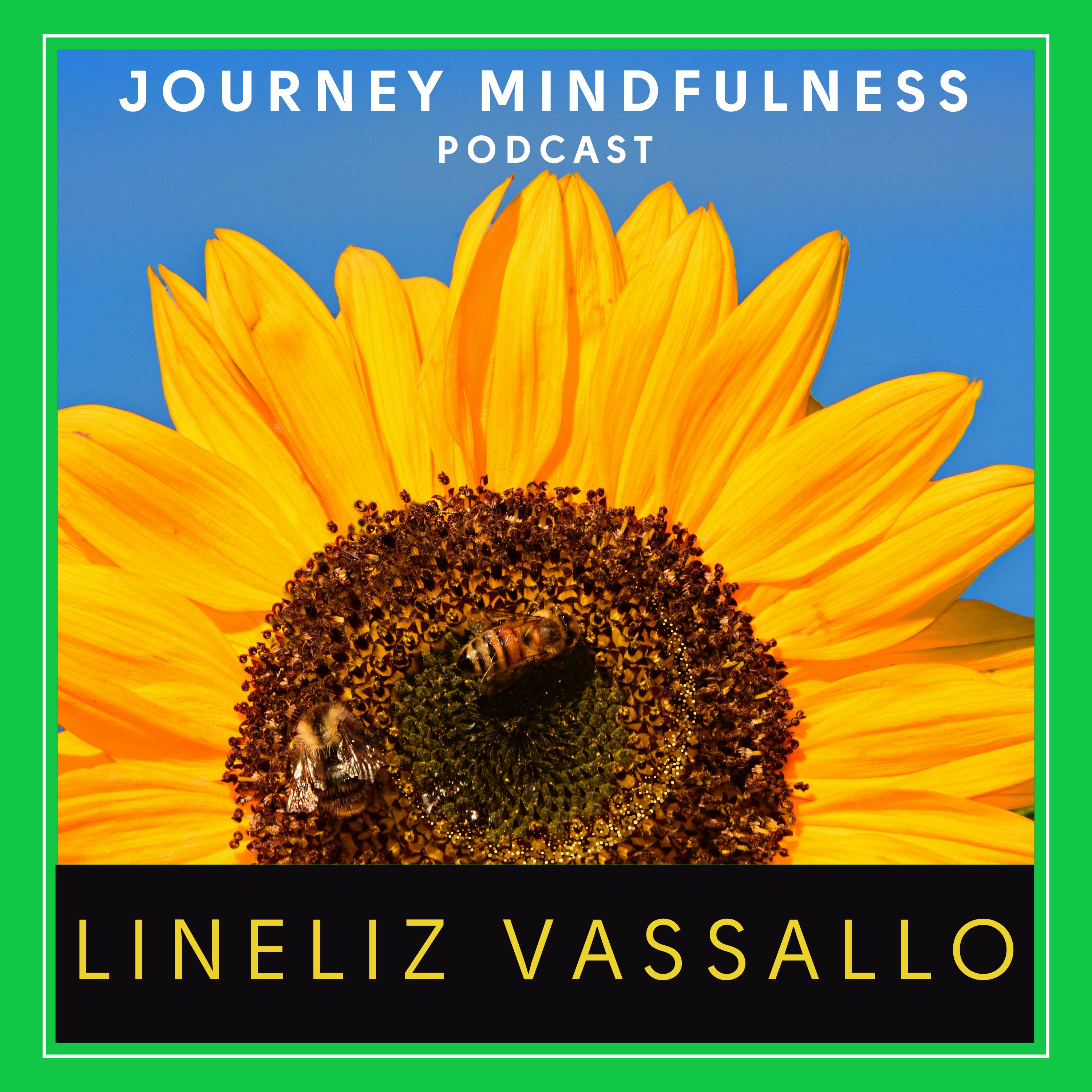Living Creatively with ADHD: Lineliz Vassallo on Healing, Writing, and Rediscovering Joy episode artwork