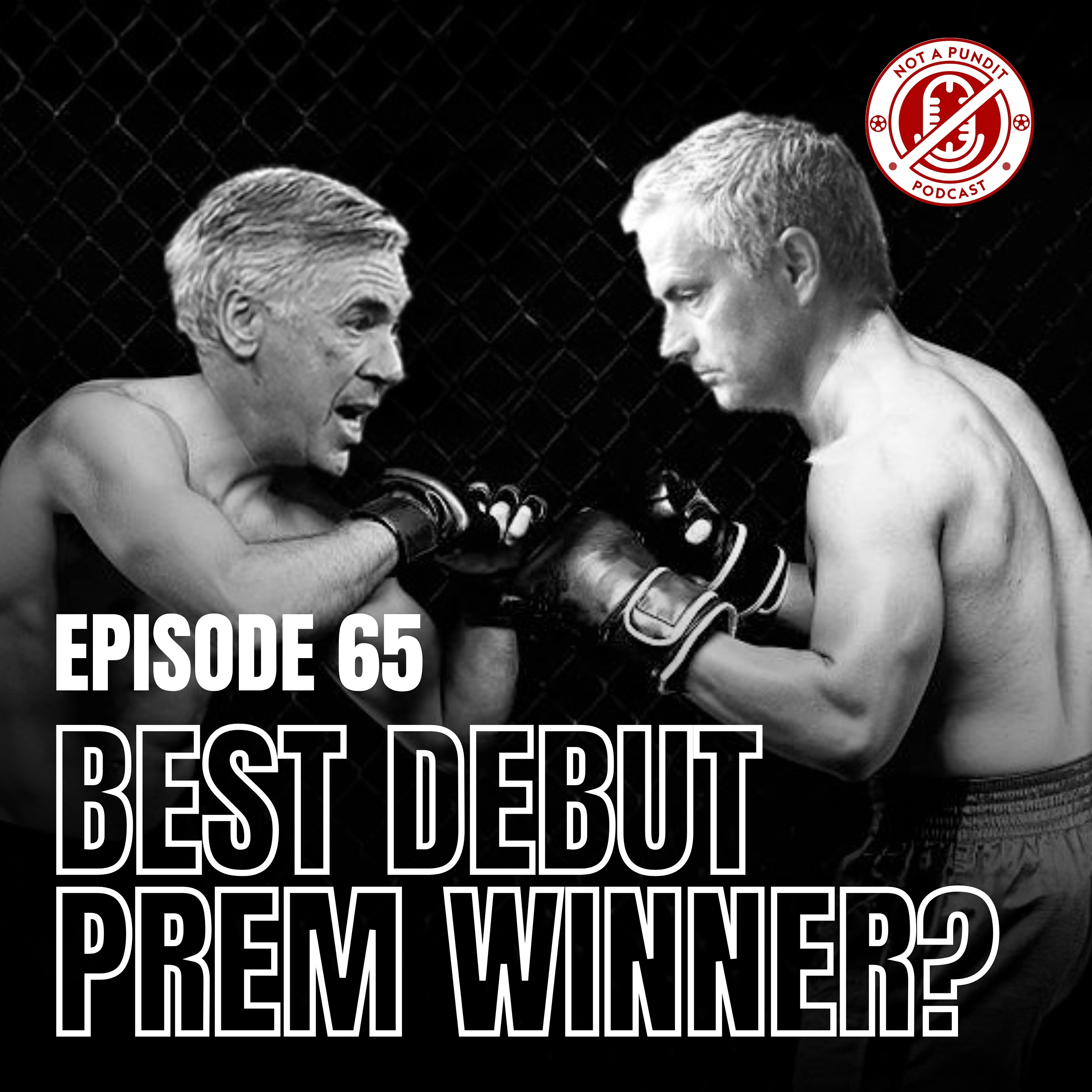 The Not A Pundit Podcast