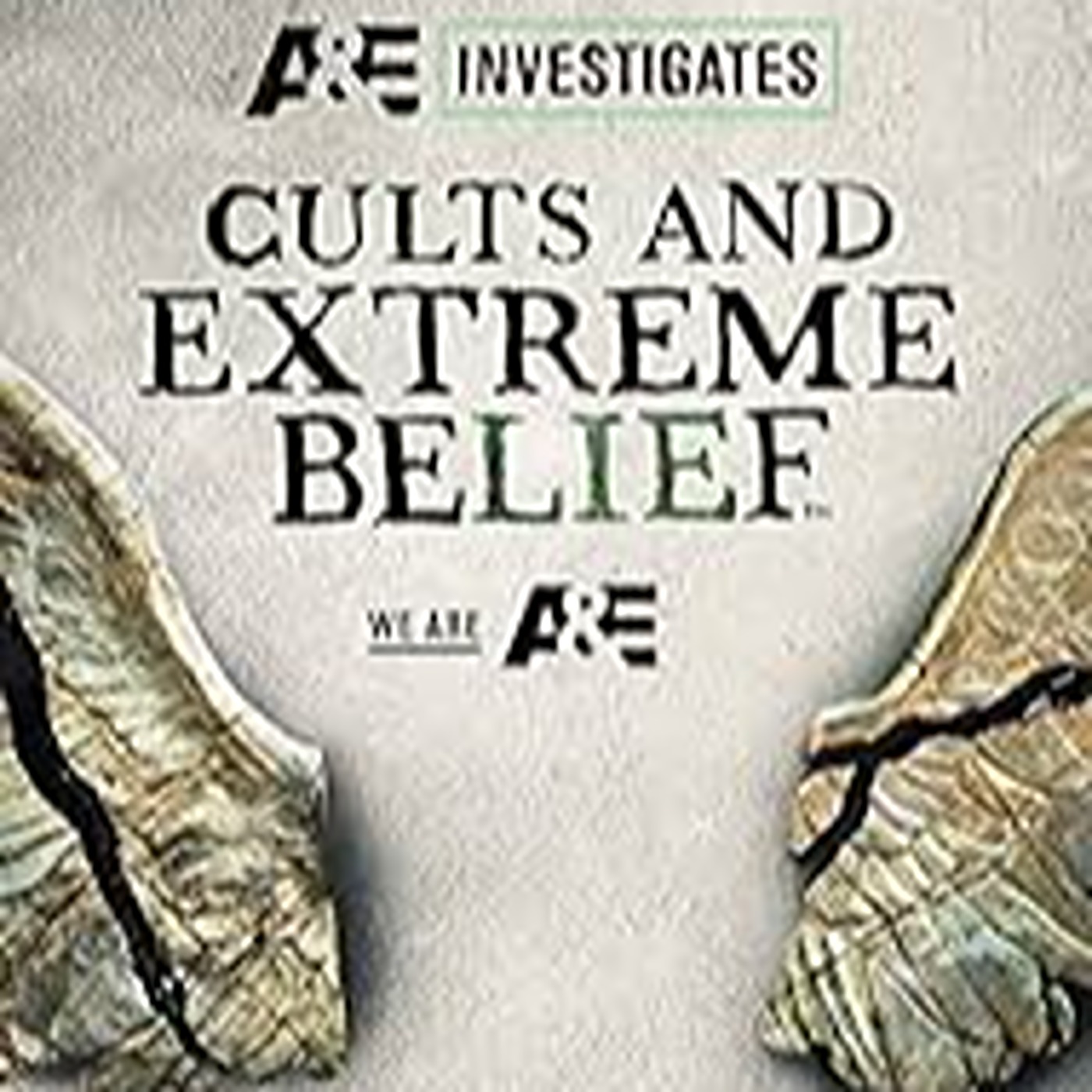 Cults and Extreme Beliefs- Twelve Tribes