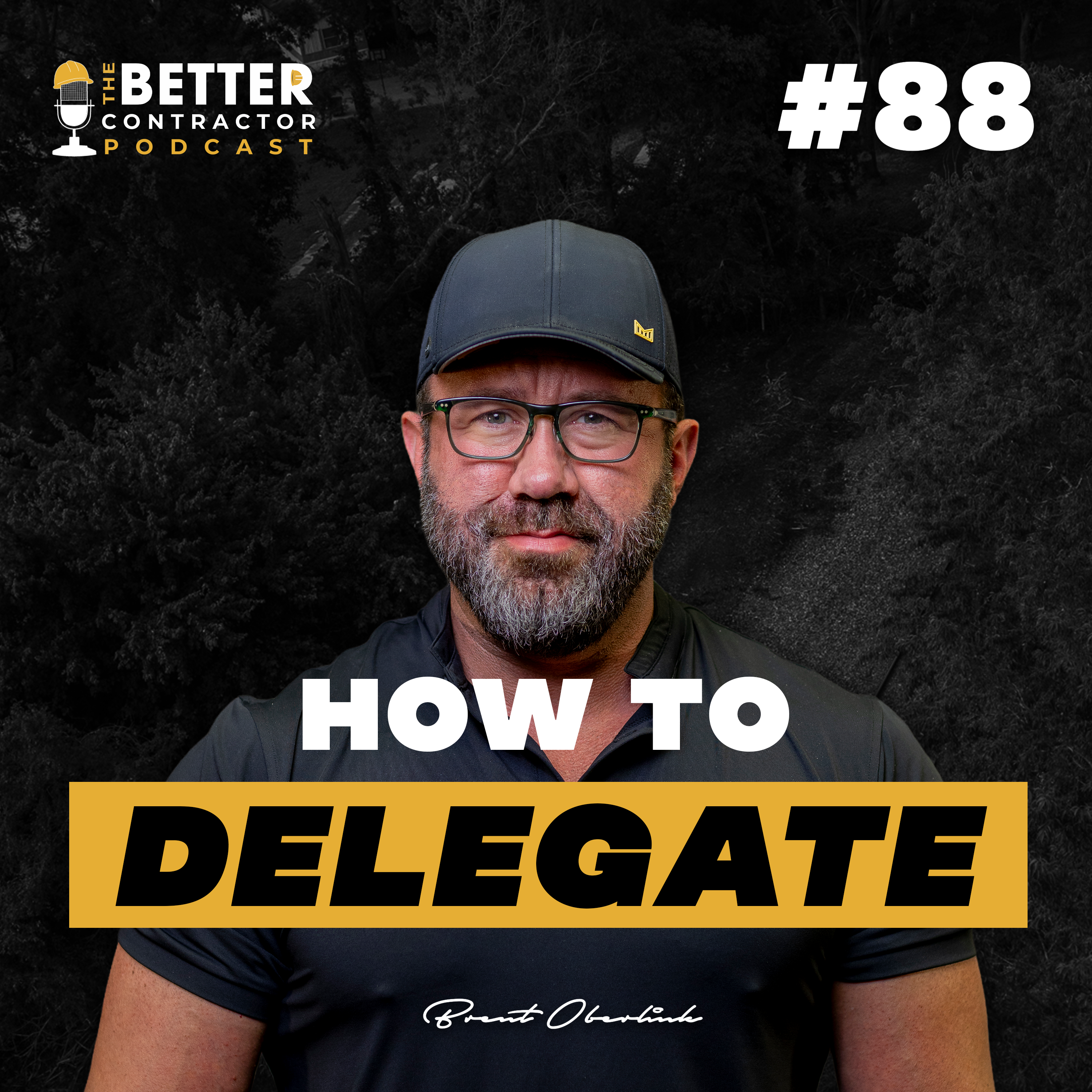 How to Delegate and Maximize Your Time as an Entrepreneur episode artwork