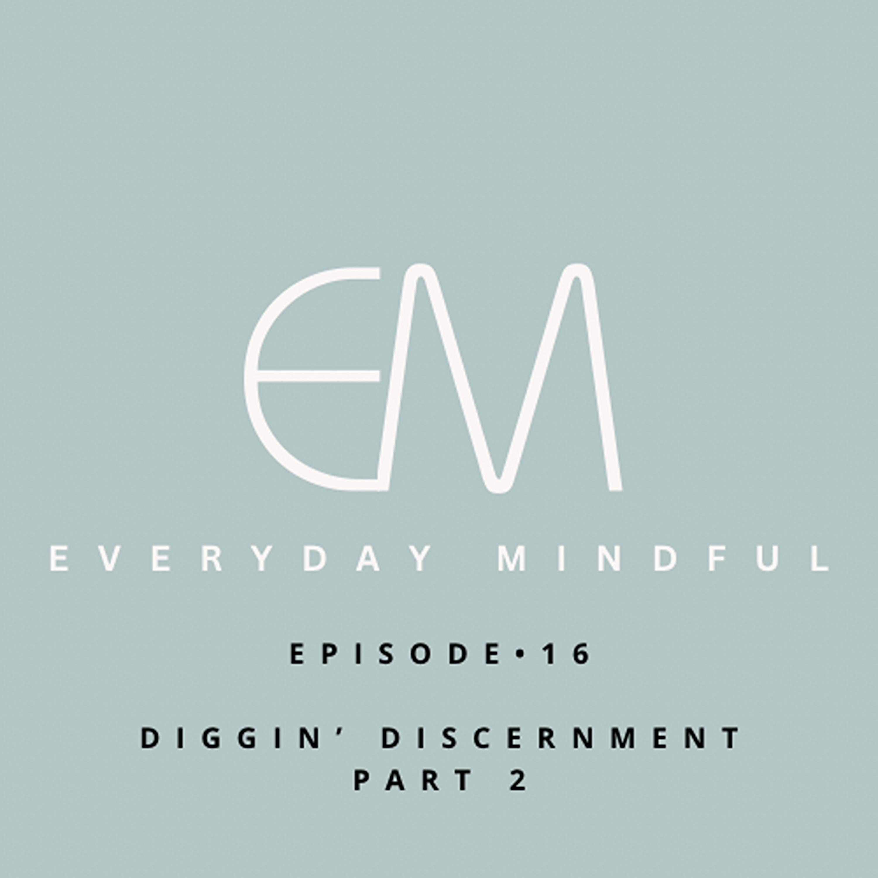 Diggin' Discernment Pt. 2 episode artwork