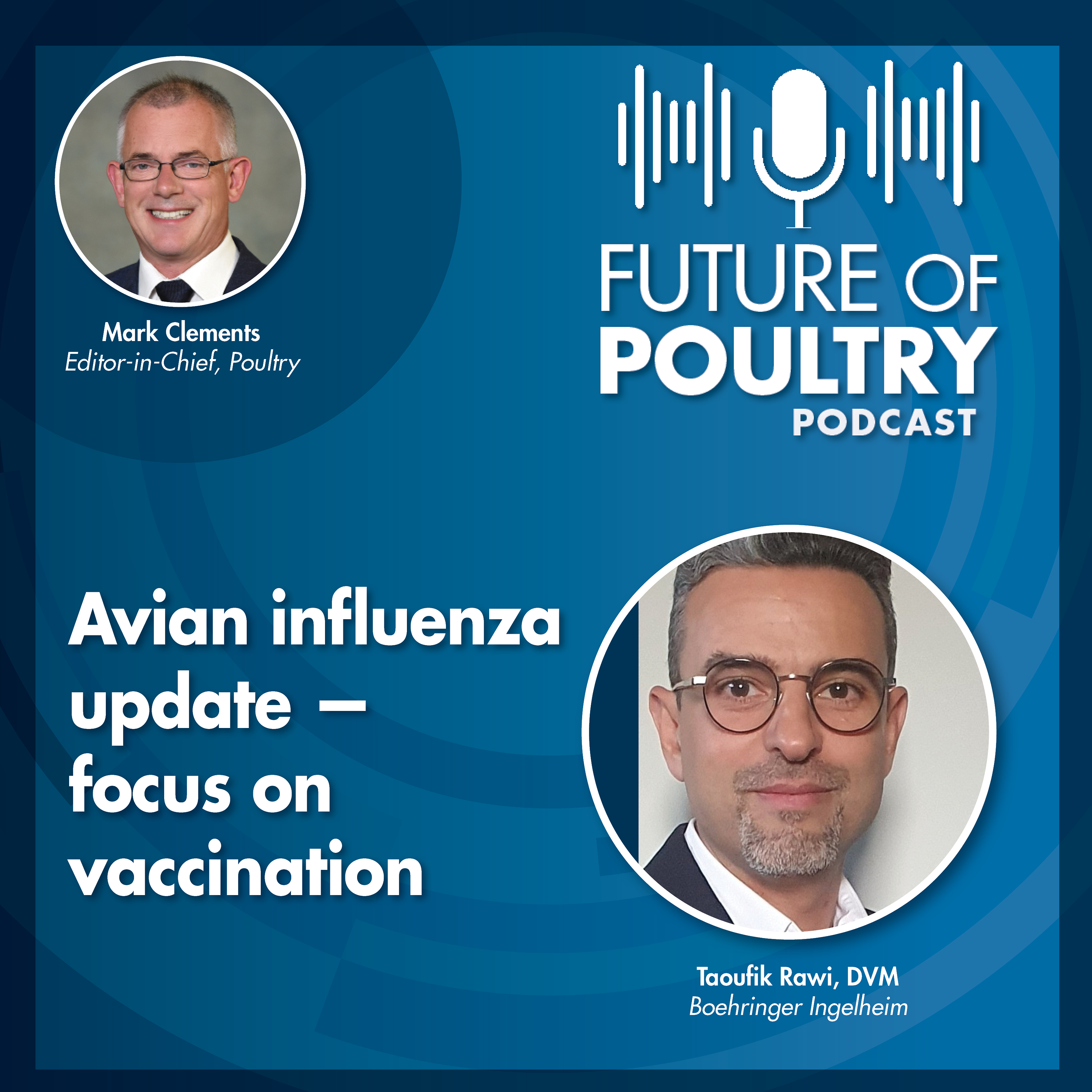 Avian influenza update — focus on vaccination