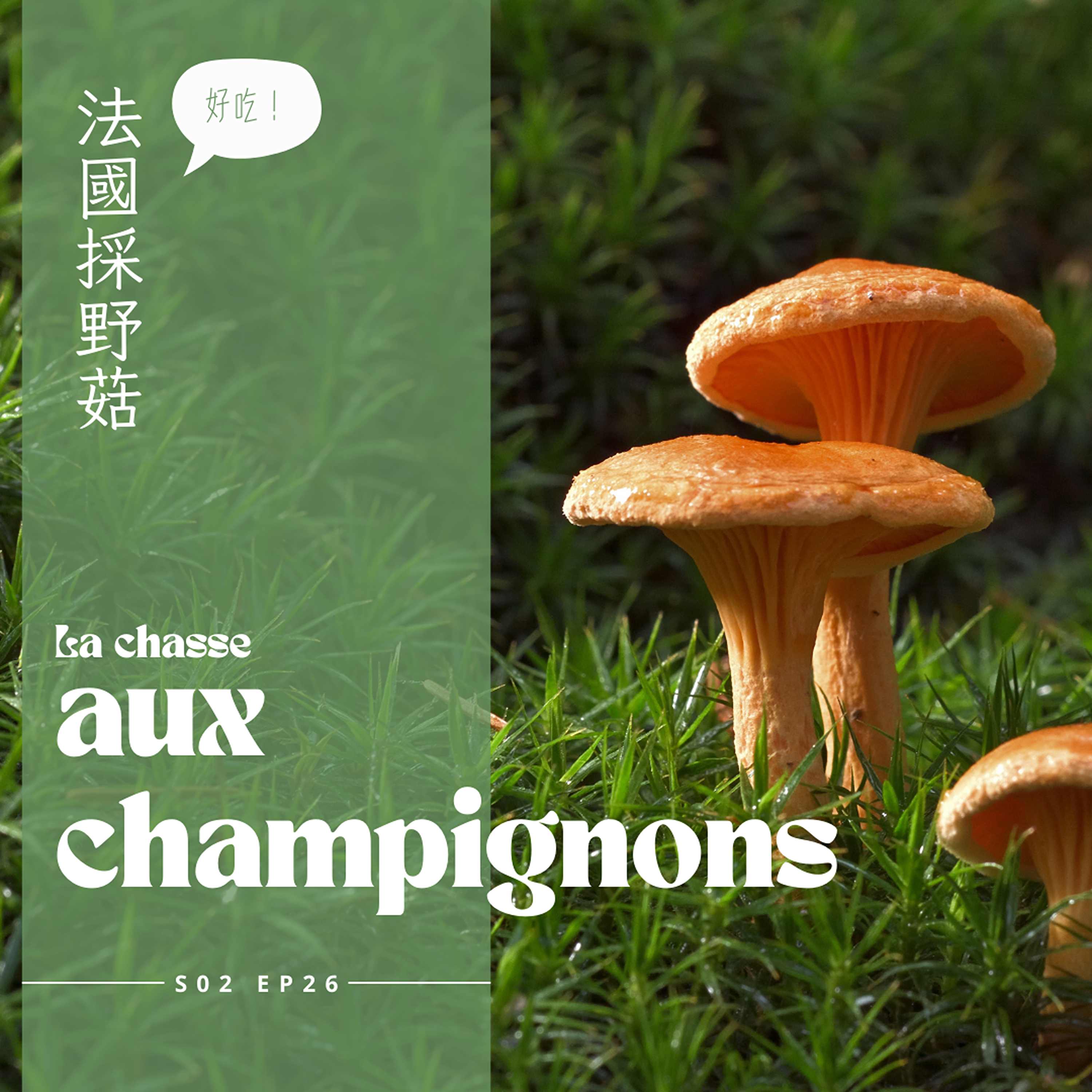 EP026 - 蘑菇蘑菇，法國廚房煮蘑菇 episode artwork