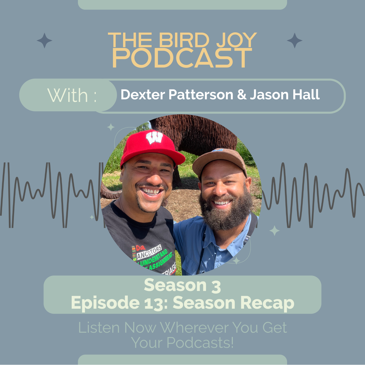 The Bird Joy Podcast