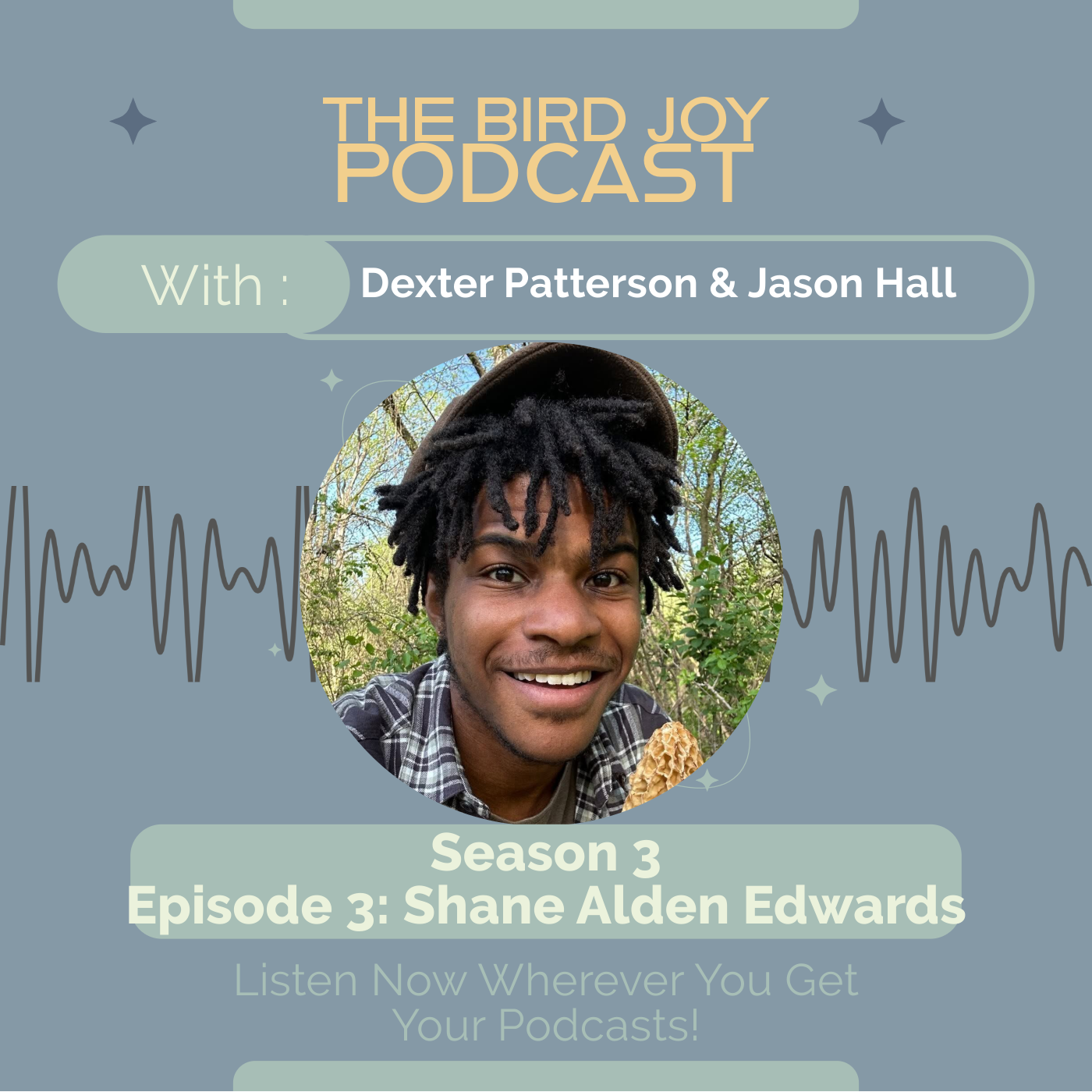 The Bird Joy Podcast
